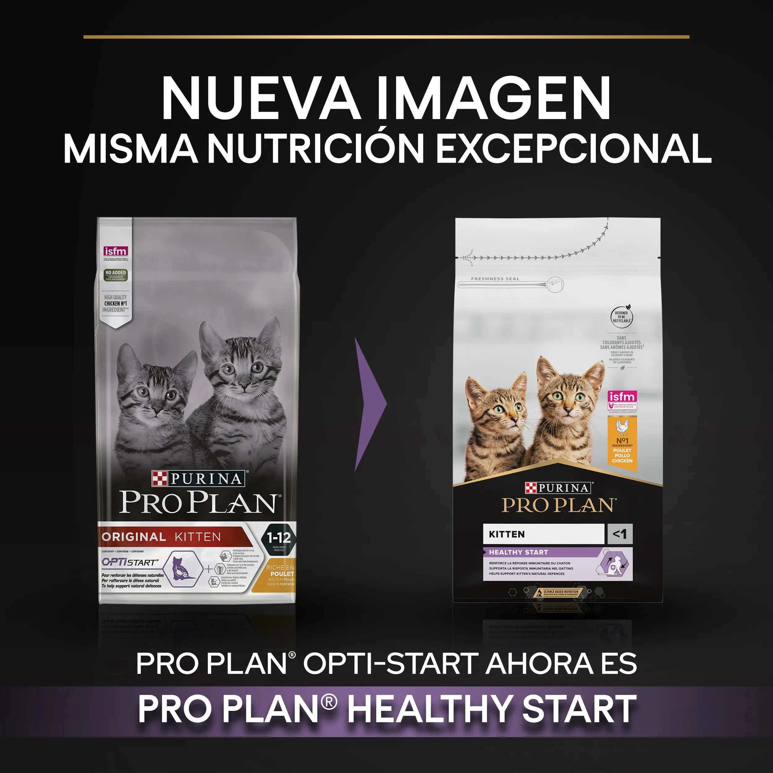 Pro Plan Cat Kitten Start Pollo Pienso para Gatitos al mejor precio -Todoanimal.es