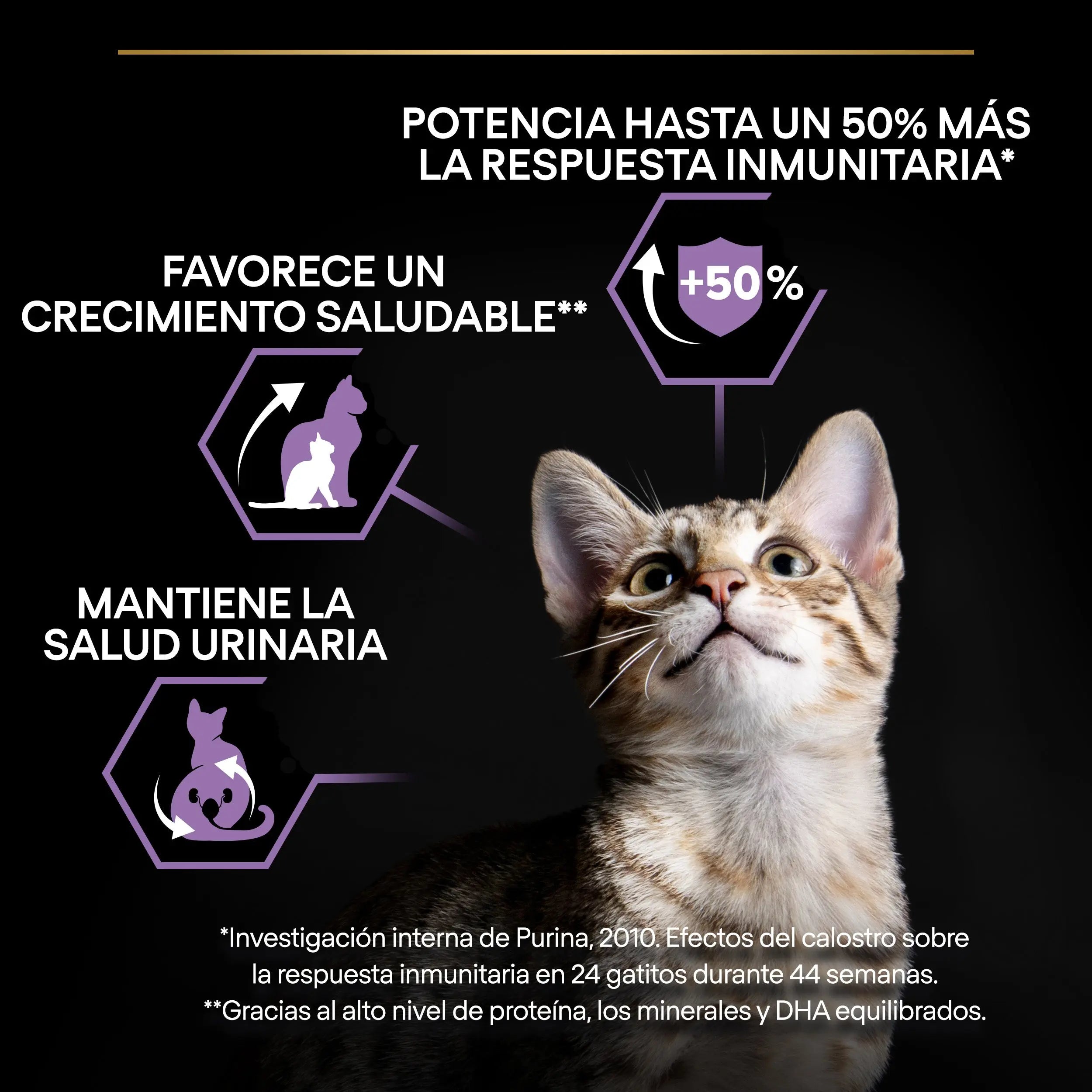 Pro Plan Cat Kitten Start Pollo Pienso para Gatitos al mejor precio -Todoanimal.es