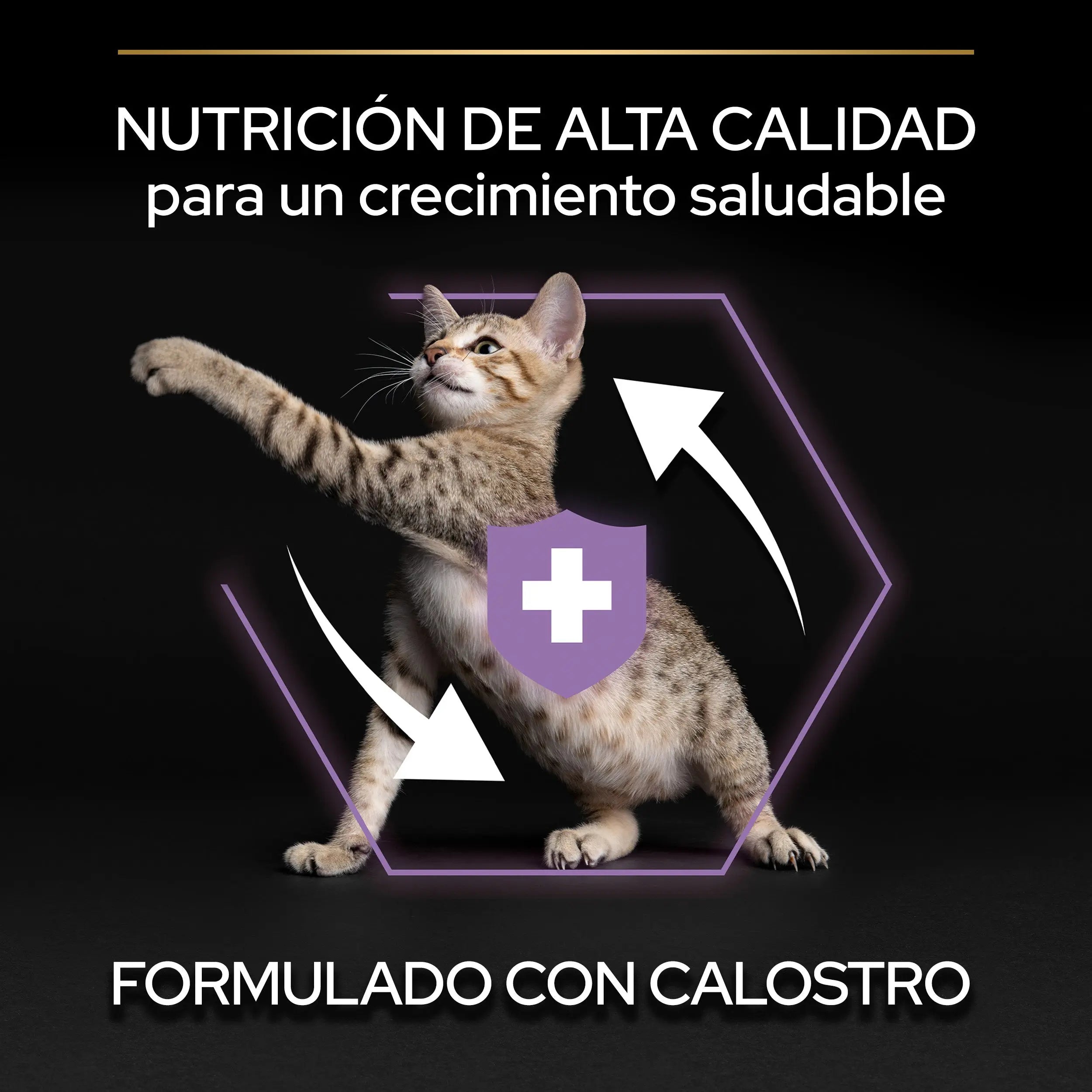 Pro Plan Cat Kitten Start Pollo Pienso para Gatitos al mejor precio -Todoanimal.es