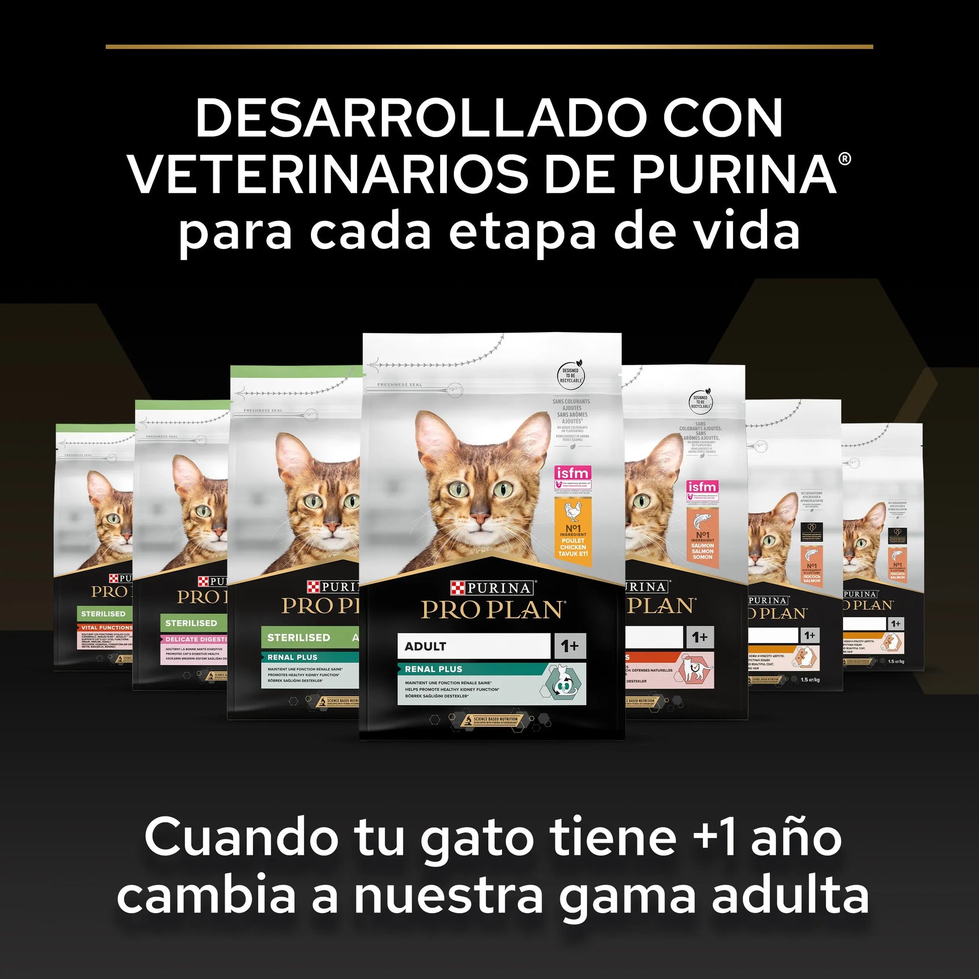 Pro Plan Cat Kitten Start Pollo Pienso para Gatitos al mejor precio -Todoanimal.es