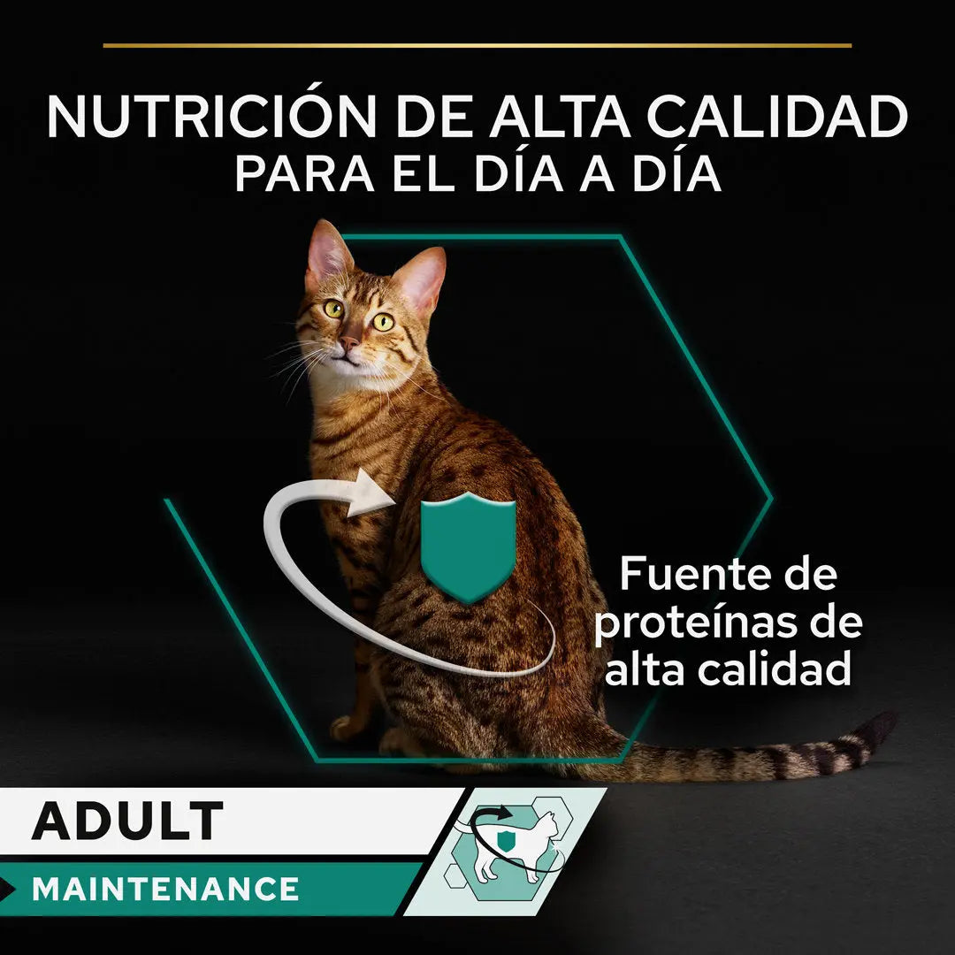 Pro Plan Cat Lata Adult Pollo 85 g al mejor precio -Todoanimal.es
