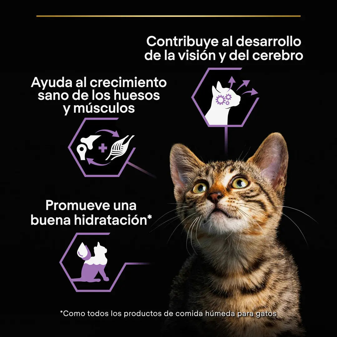 Pro Plan Cat Lata Baby Kitten Pollo 85 g al mejor precio -Todoanimal.es