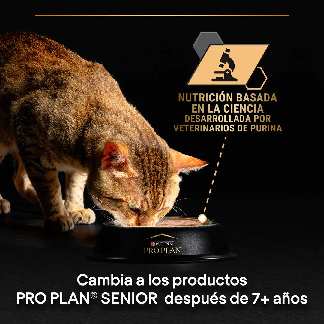 Pro Plan Cat Sobre Delicate Pescado Pack 10x85 g al mejor precio -Todoanimal.es
