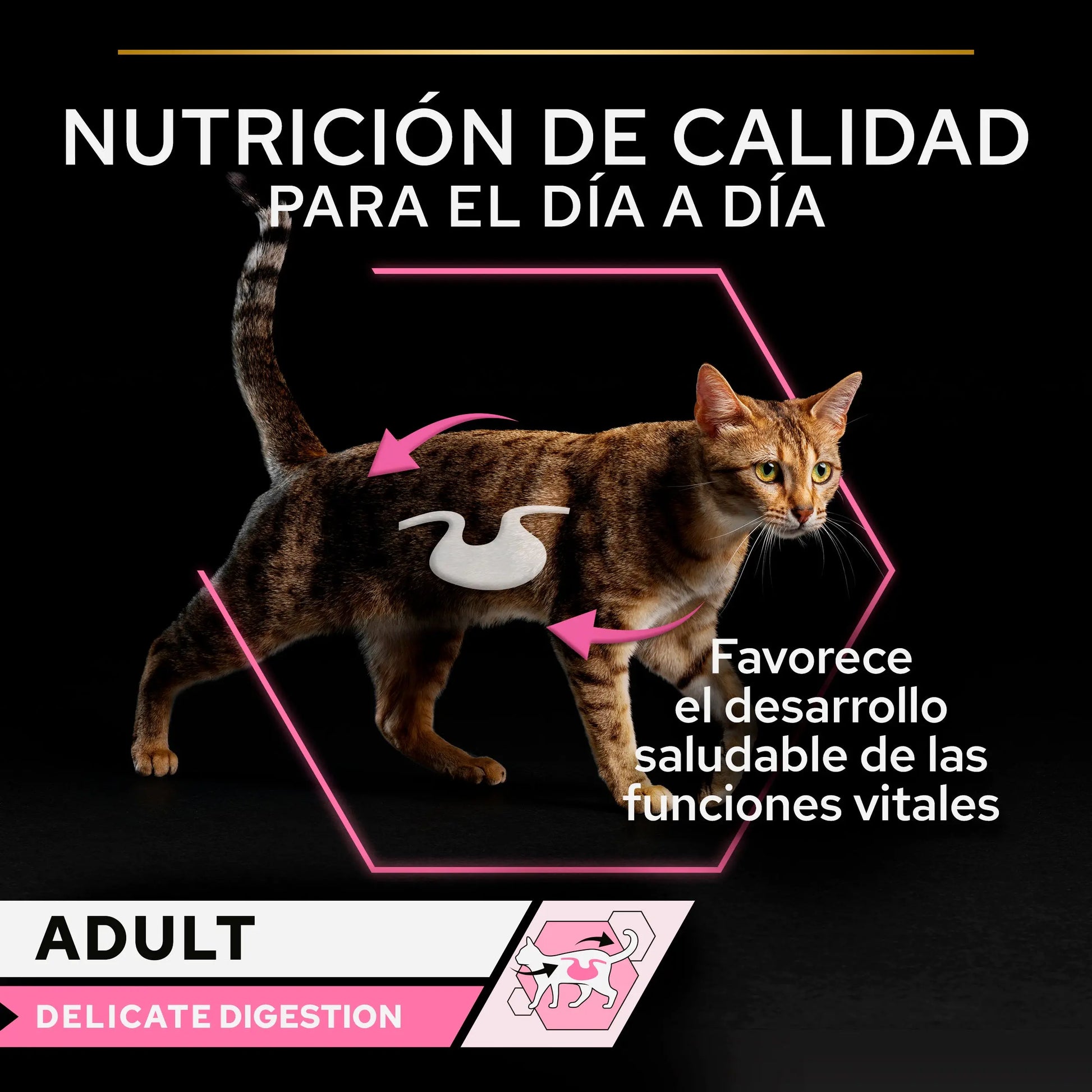 Pro Plan Cat Sobre Delicate Pescado&Pavo Pack 10X85 g al mejor precio -Todoanimal.es