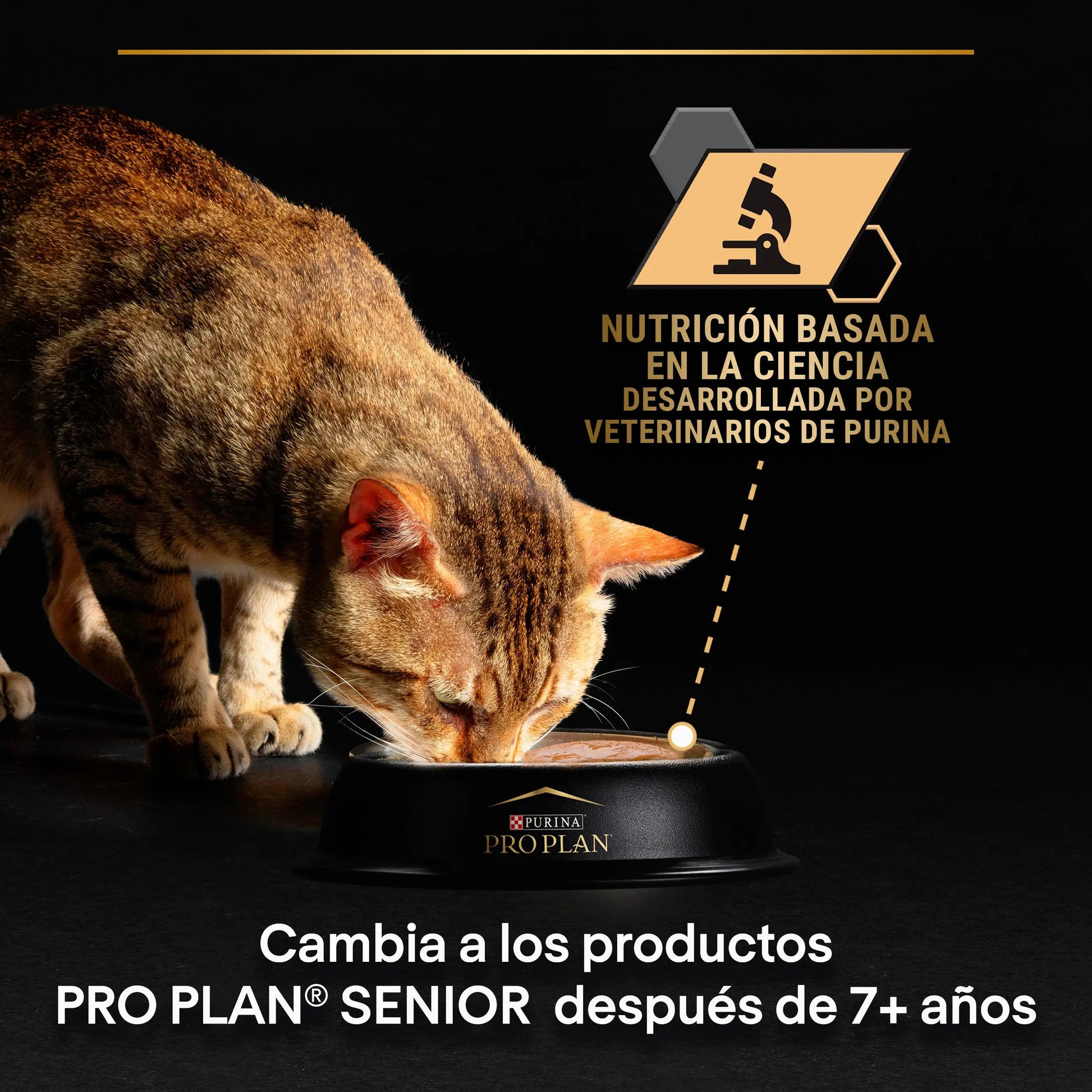 Pro Plan Cat Sobre Delicate Pescado&Pavo Pack 10X85 g al mejor precio -Todoanimal.es