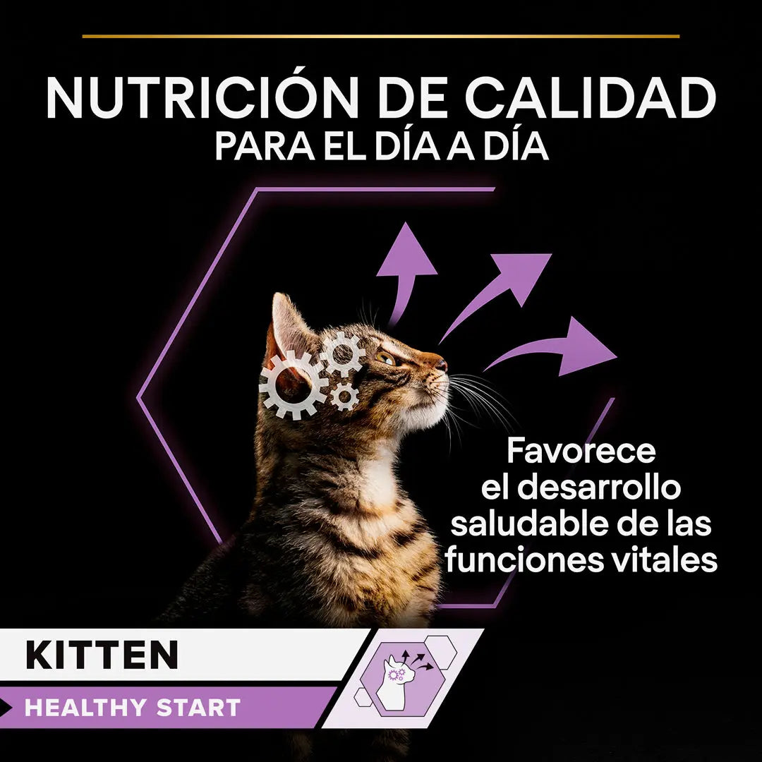 Pro Plan Cat Sobre Kitten Pavo 85 g al mejor precio -Todoanimal.es