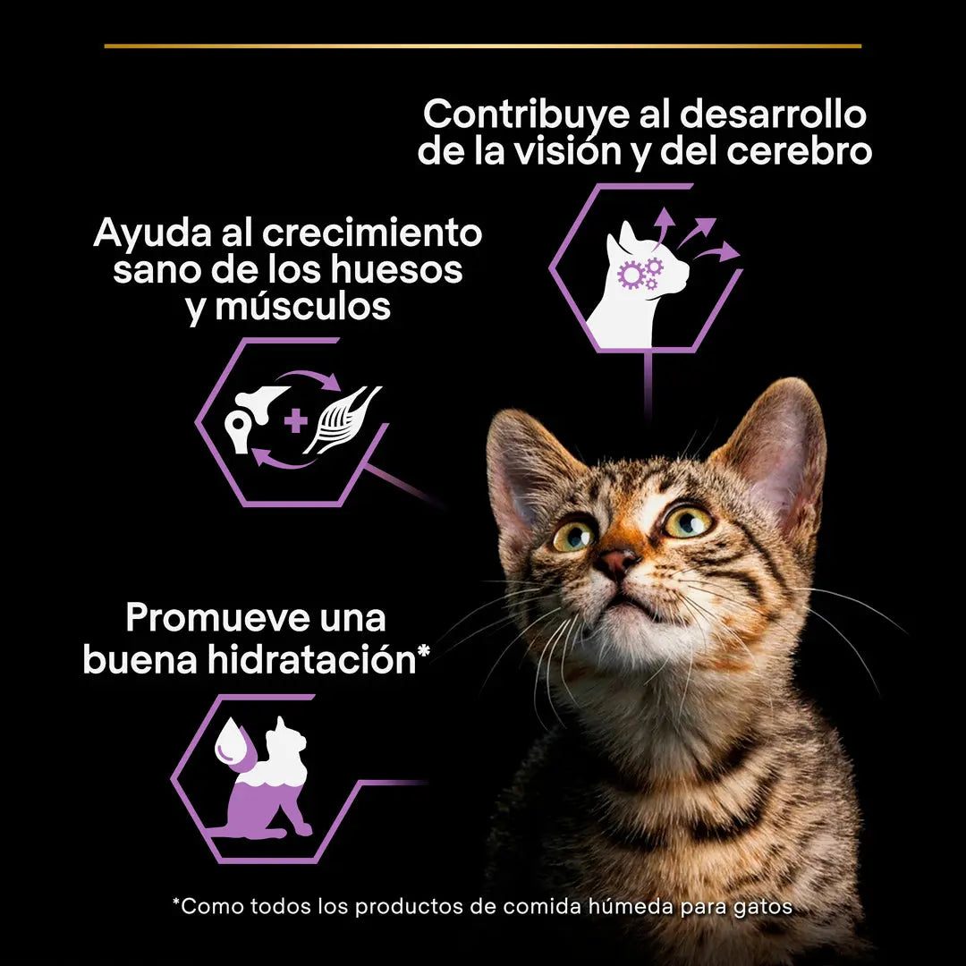 Pro Plan Cat Sobre Kitten Pavo 85 g al mejor precio -Todoanimal.es