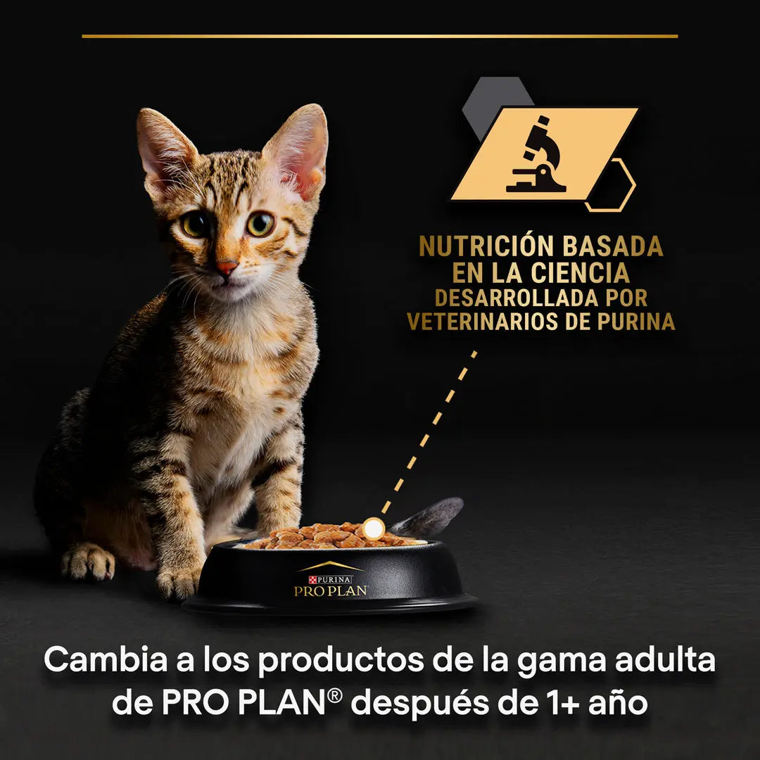 Pro Plan Cat Sobre Kitten Pavo 85 g al mejor precio -Todoanimal.es