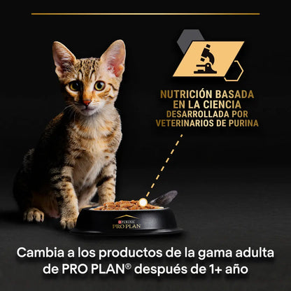 Pro Plan Cat Sobre Kitten Pavo 85 g al mejor precio -Todoanimal.es