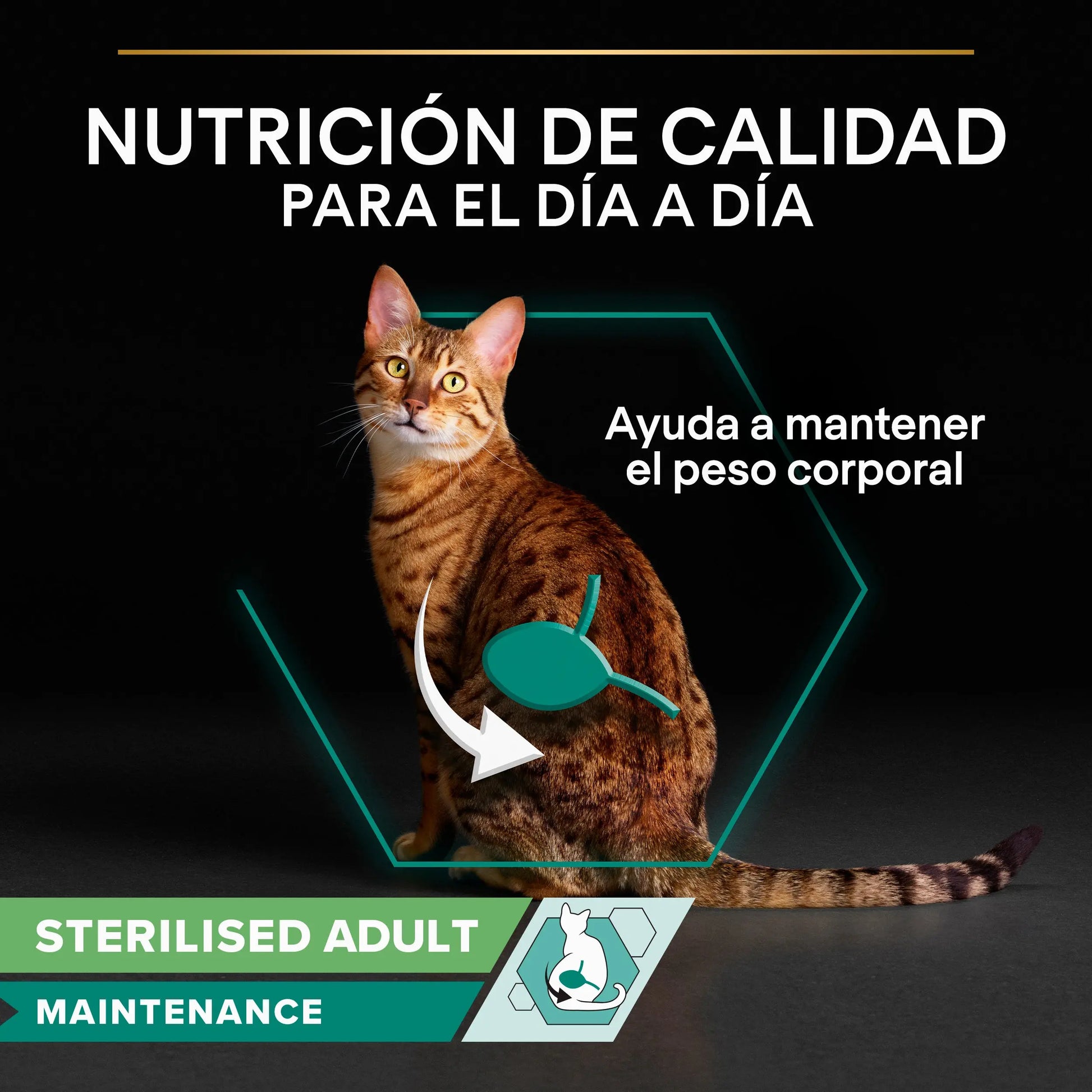 Pro Plan Cat Sobre Sterilised Buey&Pollo Pack 10x85 g al mejor precio -Todoanimal.es