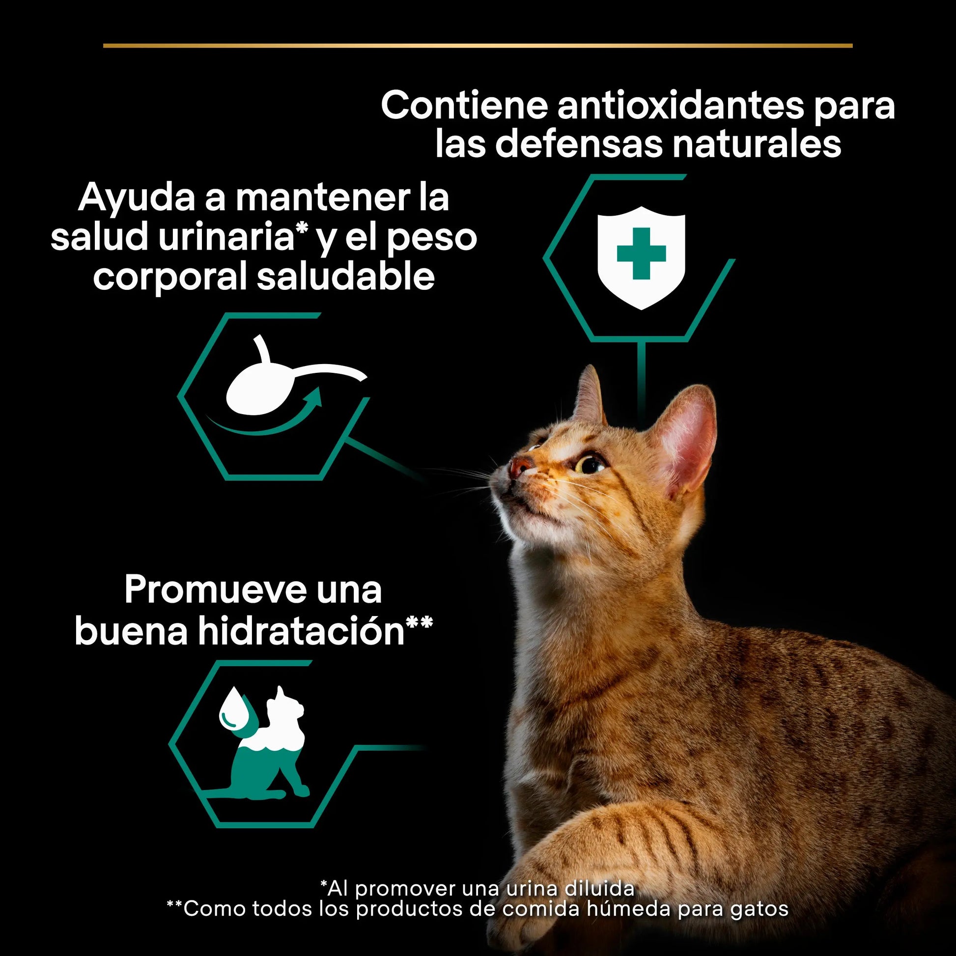 Pro Plan Cat Sobre Sterilised Buey&Pollo Pack 10x85 g al mejor precio -Todoanimal.es
