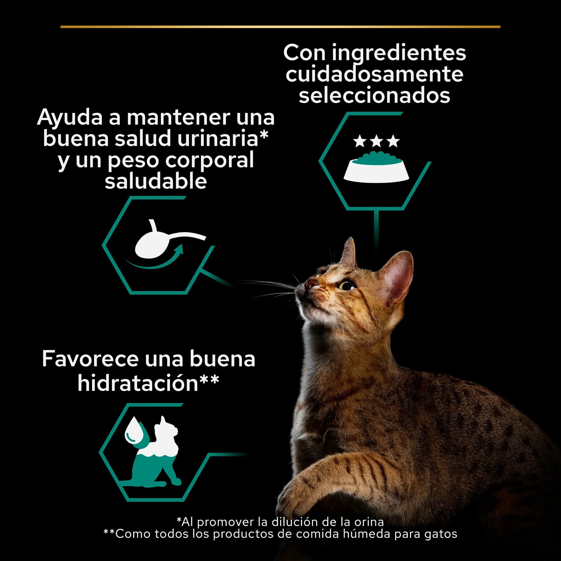Pro Plan Cat Sterilised Salmón&Atún Pack 12X85 g al mejor precio -Todoanimal.es