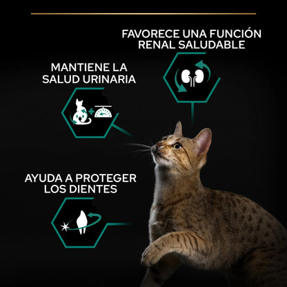 Pro Plan Cat Sterilized Adult Renal+ Pavo 10 kg al mejor precio -Todoanimal.es