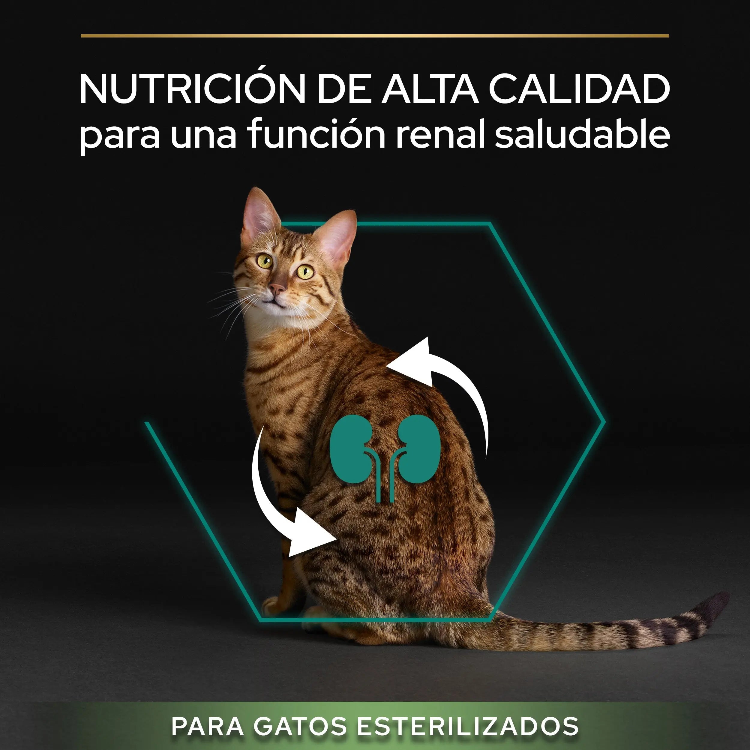 Pro Plan Cat Sterilized Adult Renal+ Salmón 10 kg al mejor precio -Todoanimal.es