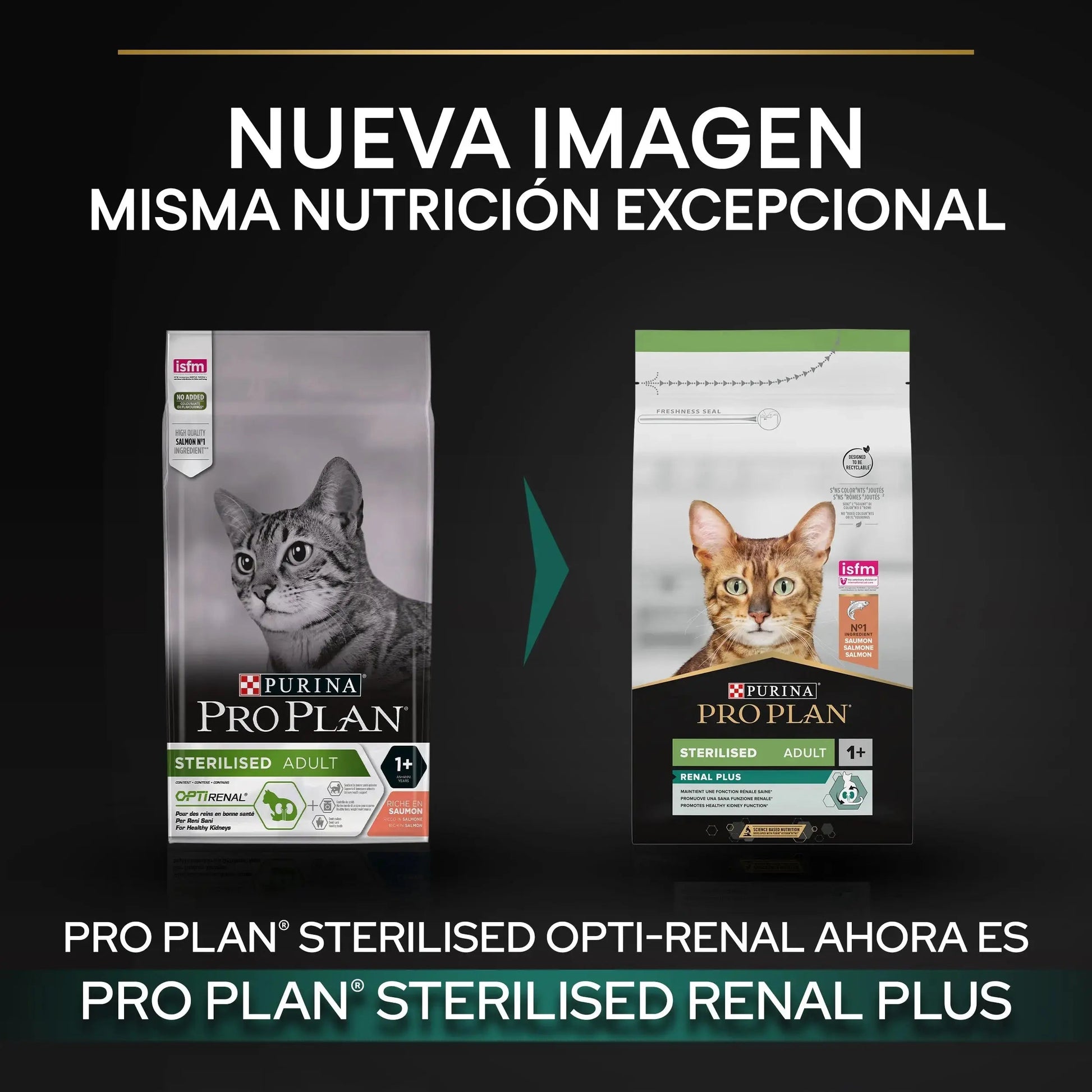 Pro Plan Cat Sterilized Adult Renal+ Salmón 10 kg al mejor precio -Todoanimal.es