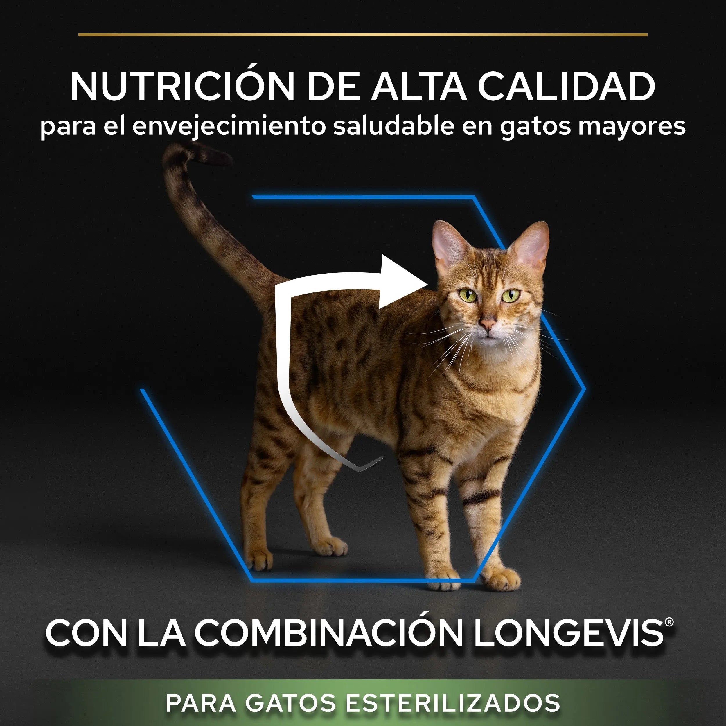 Pro Plan Cat Sterilized Senior 7+ Pavo 3 kg al mejor precio -Todoanimal.es