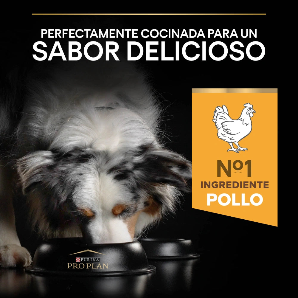 Pro Plan Dog AllSize Adult Light Sterilized Pollo 14kg+2,5kg gratis al mejor precio -Todoanimal.es