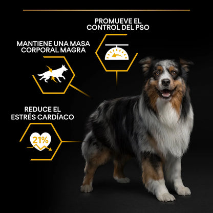 Pro Plan Dog AllSize Light Sterilized Pescado 14 kg al mejor precio -Todoanimal.es