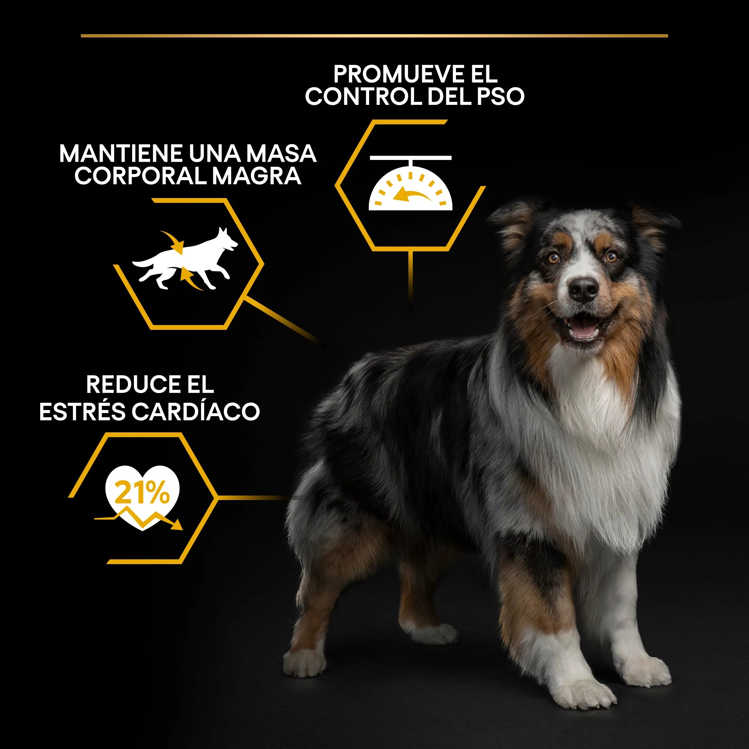 Pro Plan Dog Allsize Light Sterilized Pescado 3 kg al mejor precio -Todoanimal.es