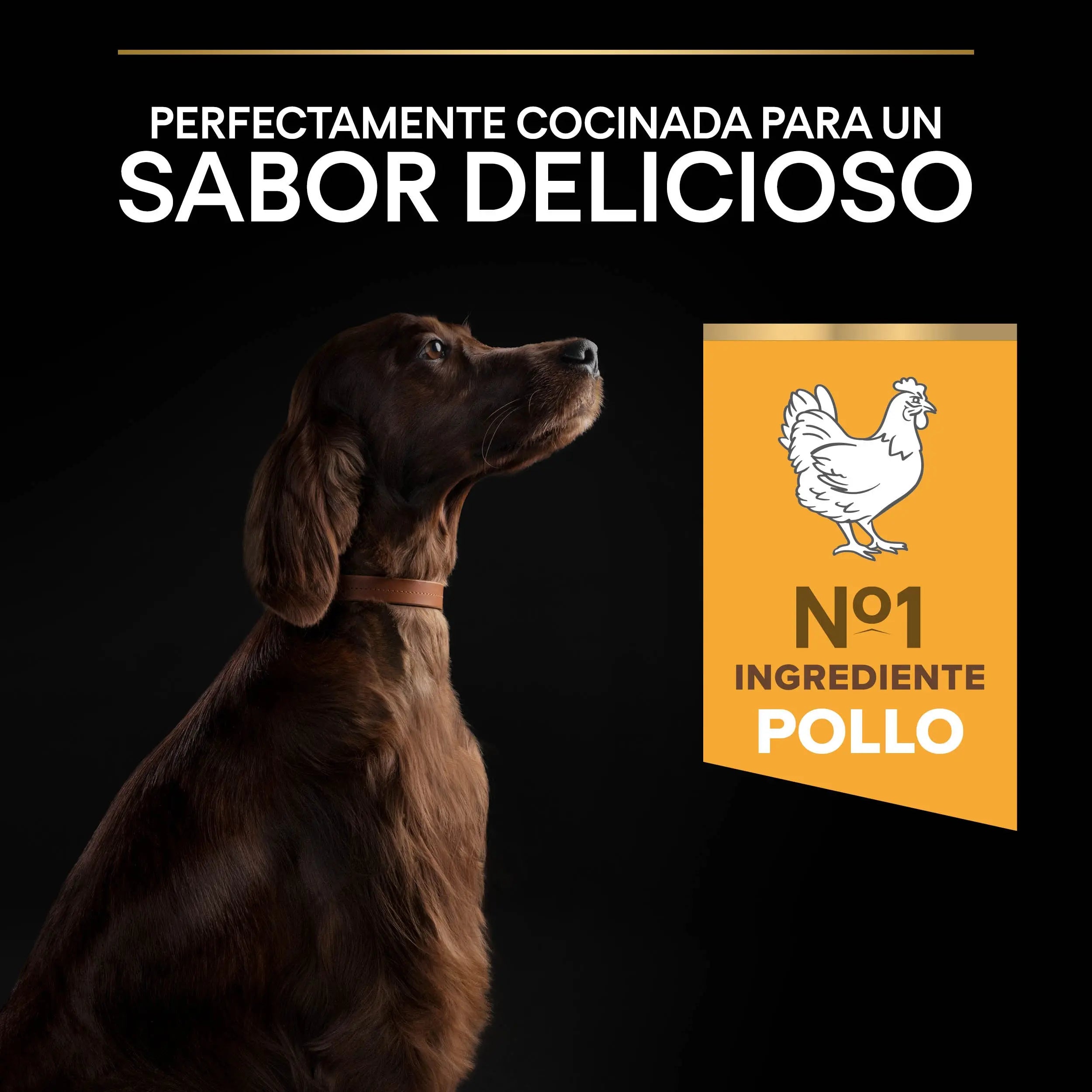 Pro Plan Dog Large Athletic Adult Pollo 14 kg+2,5 kg gratis al mejor precio -Todoanimal.es