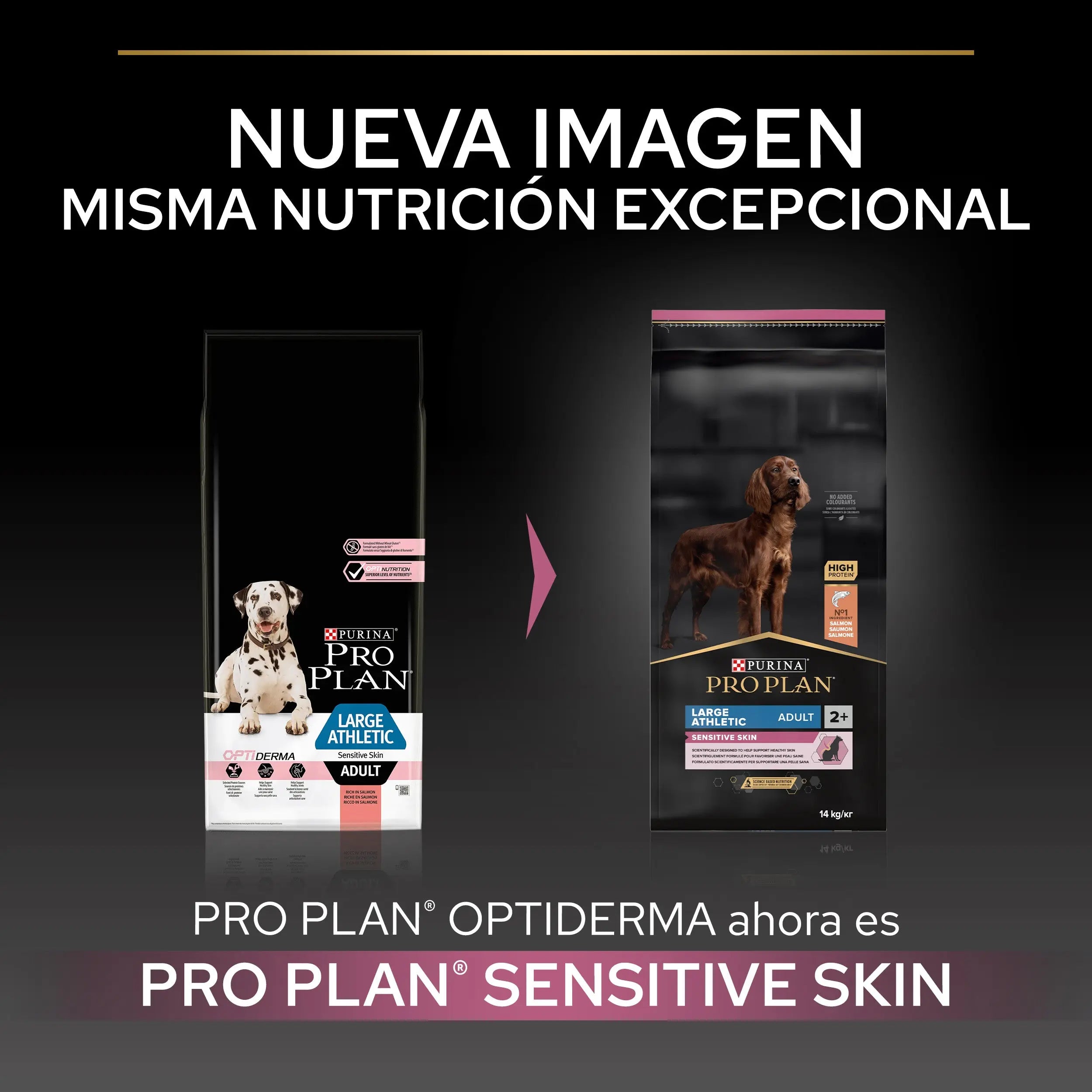 Pro Plan Dog Large Athletic Adult Skin Salmón 14 kg al mejor precio -Todoanimal.es