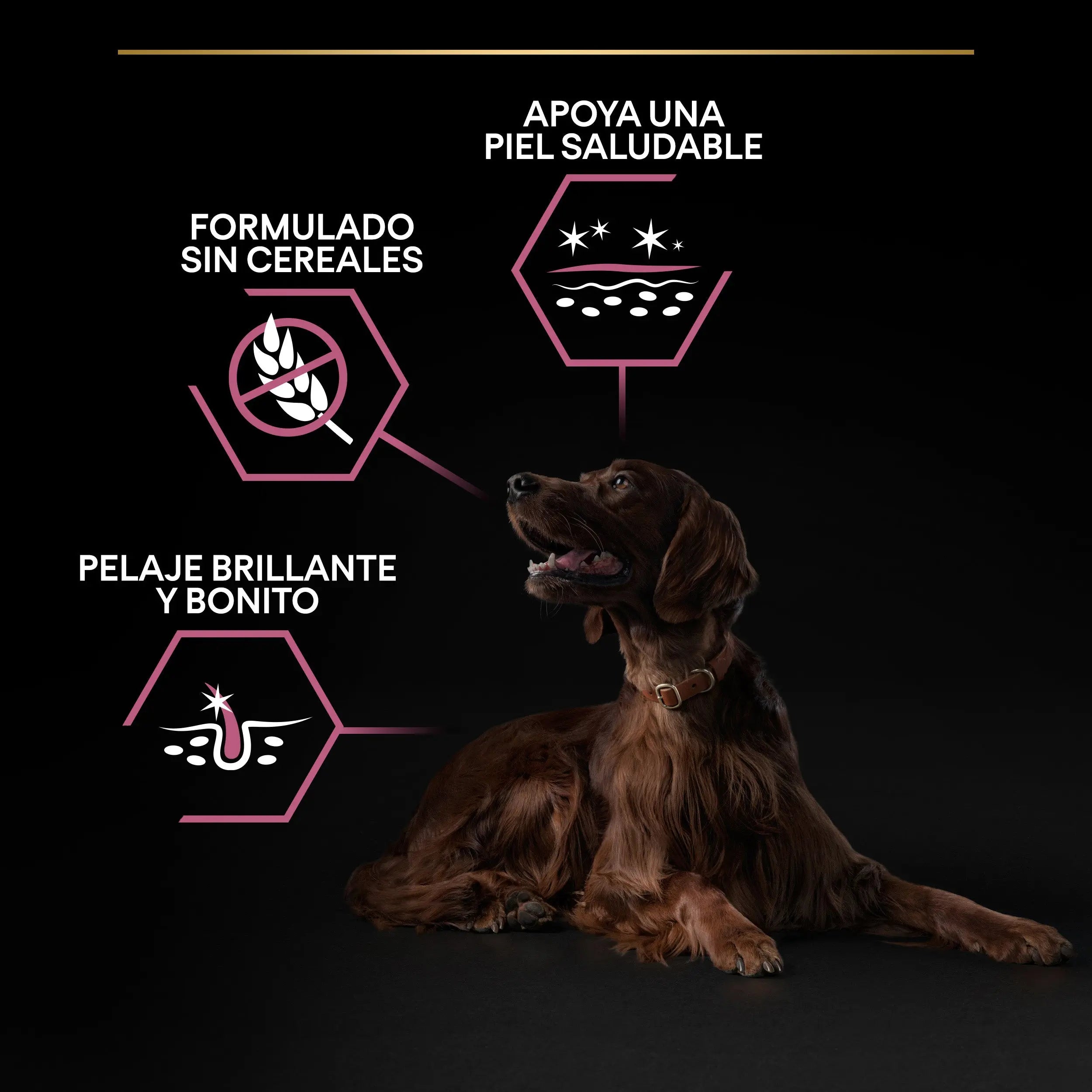 Pro Plan Dog Large Athletic Adult Skin Salmón 14 kg al mejor precio -Todoanimal.es