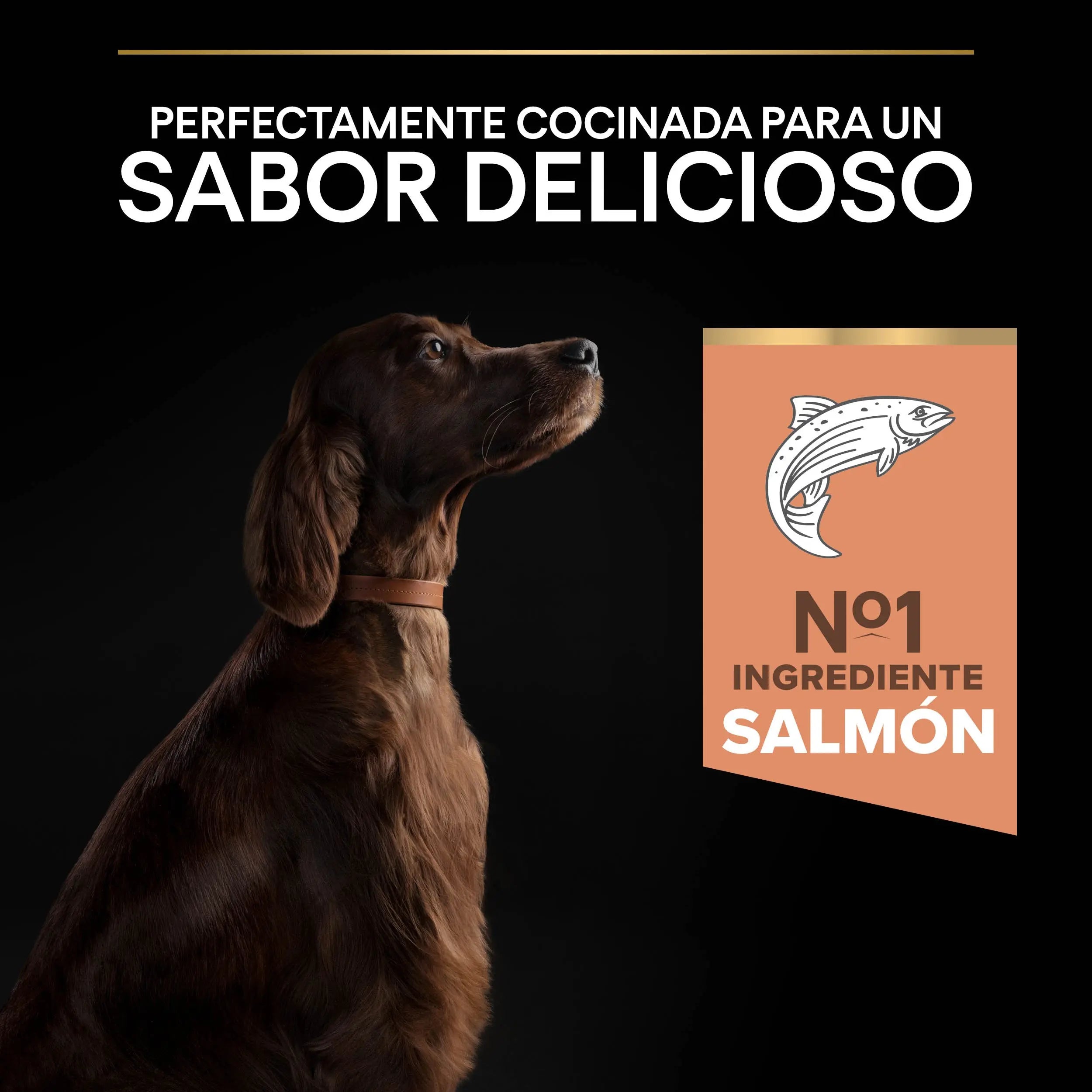 Pro Plan Dog Large Athletic Adult Skin Salmón 14 kg al mejor precio -Todoanimal.es