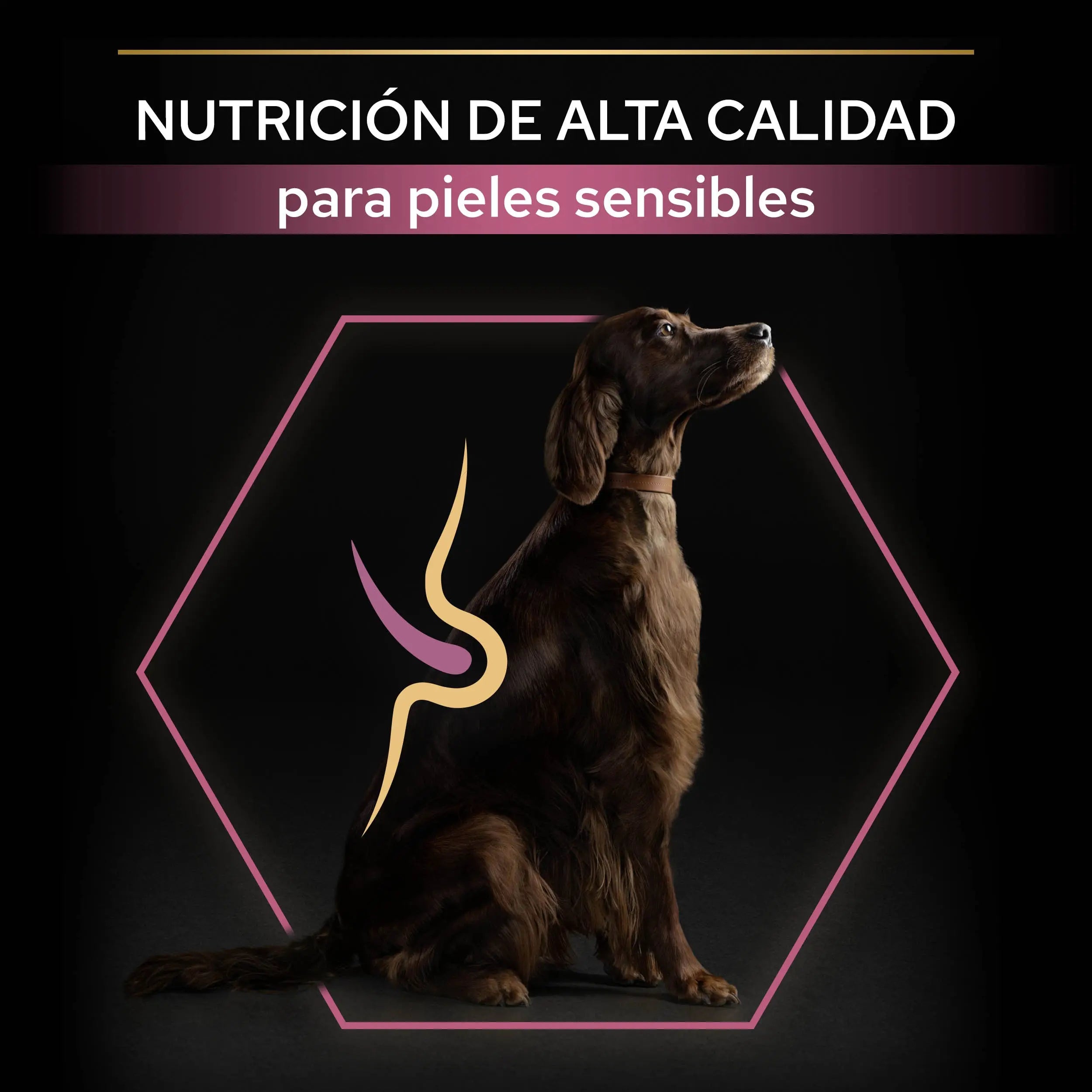 Pro Plan Dog Large Athletic Adult Skin Salmón 14 kg al mejor precio -Todoanimal.es