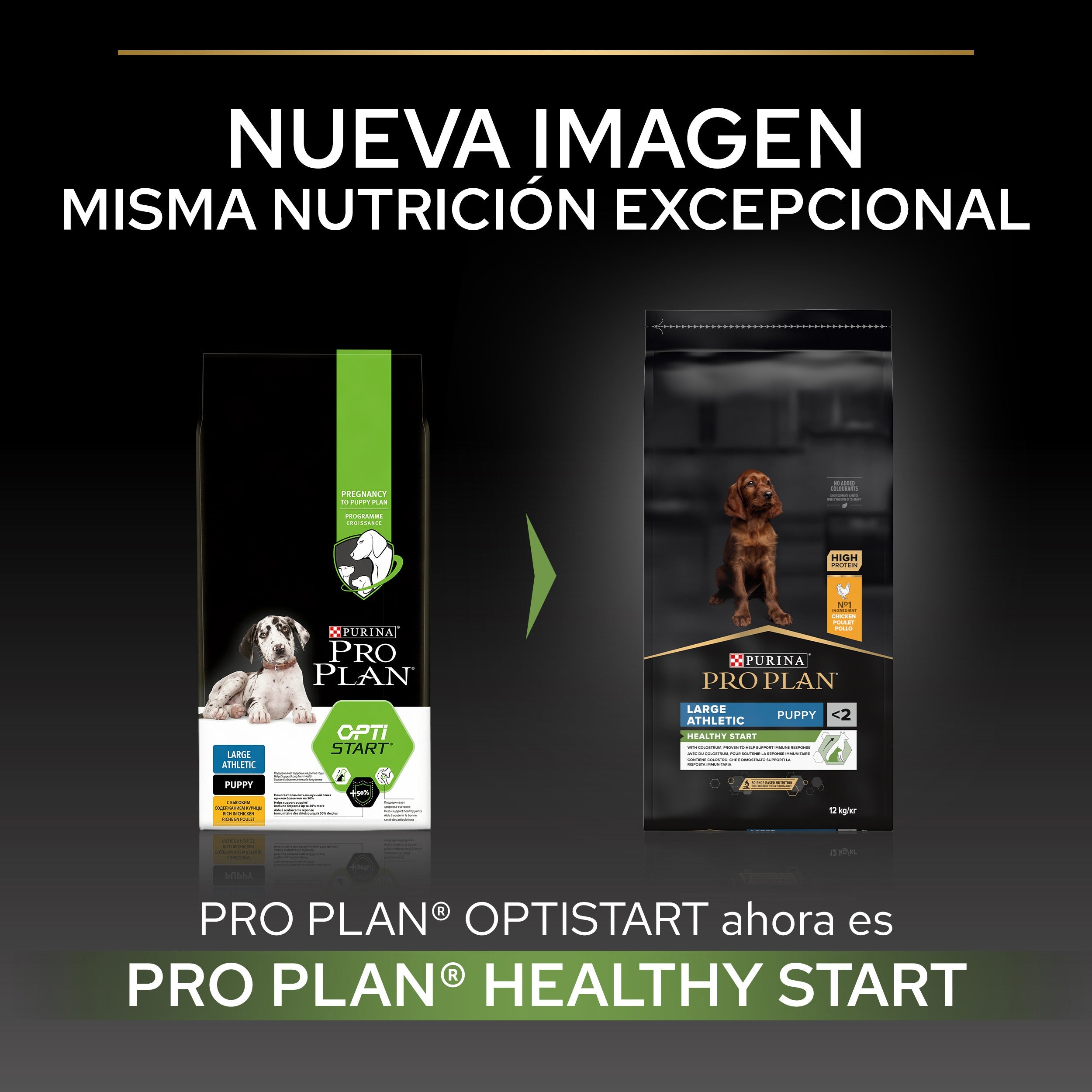 Pro Plan Dog Large Athletic Puppy Start Pollo Pienso para Cachorros al mejor precio -Todoanimal.es