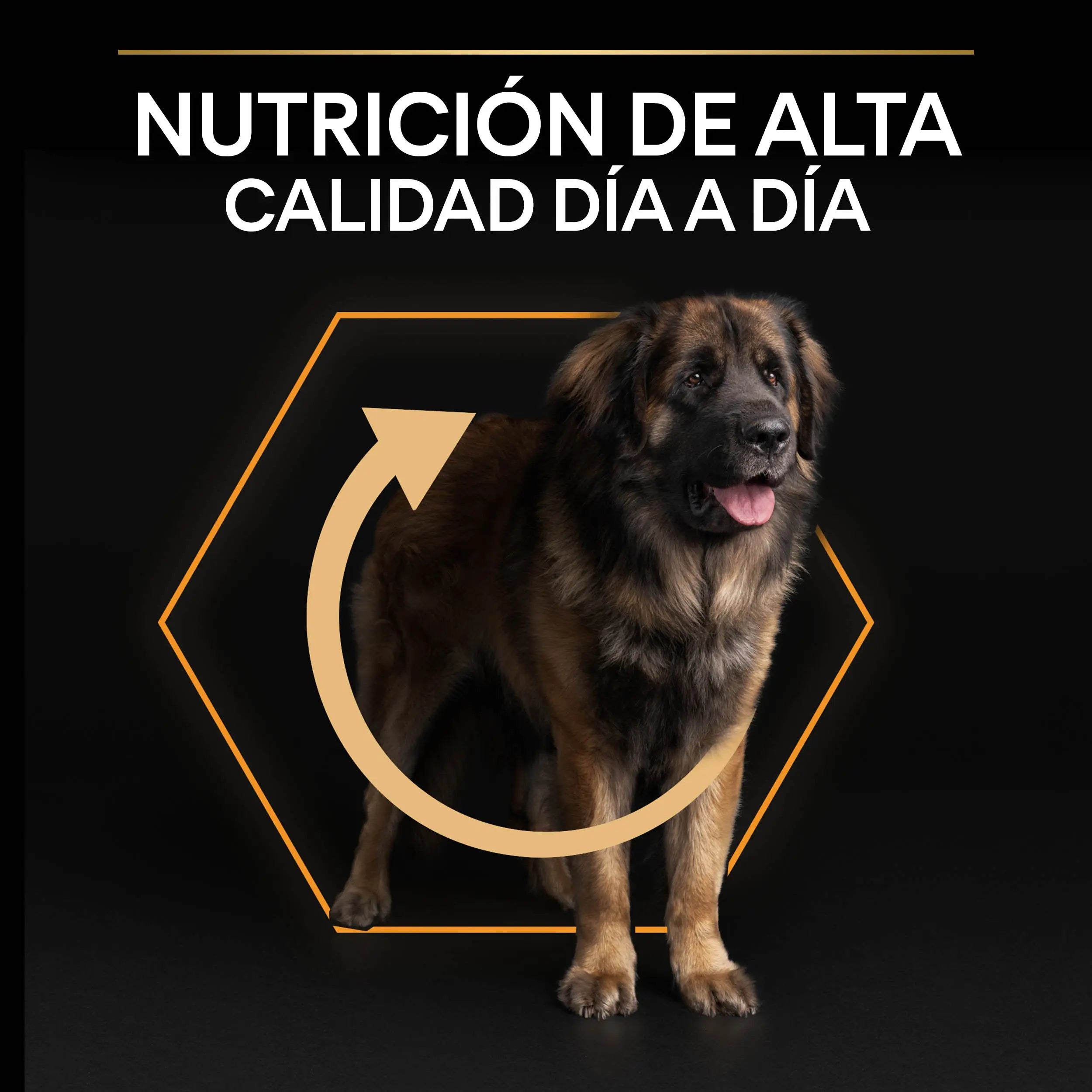 Pro Plan Dog Large Robust Adult Pollo 14 kg+2,5 kg gratis al mejor precio -Todoanimal.es
