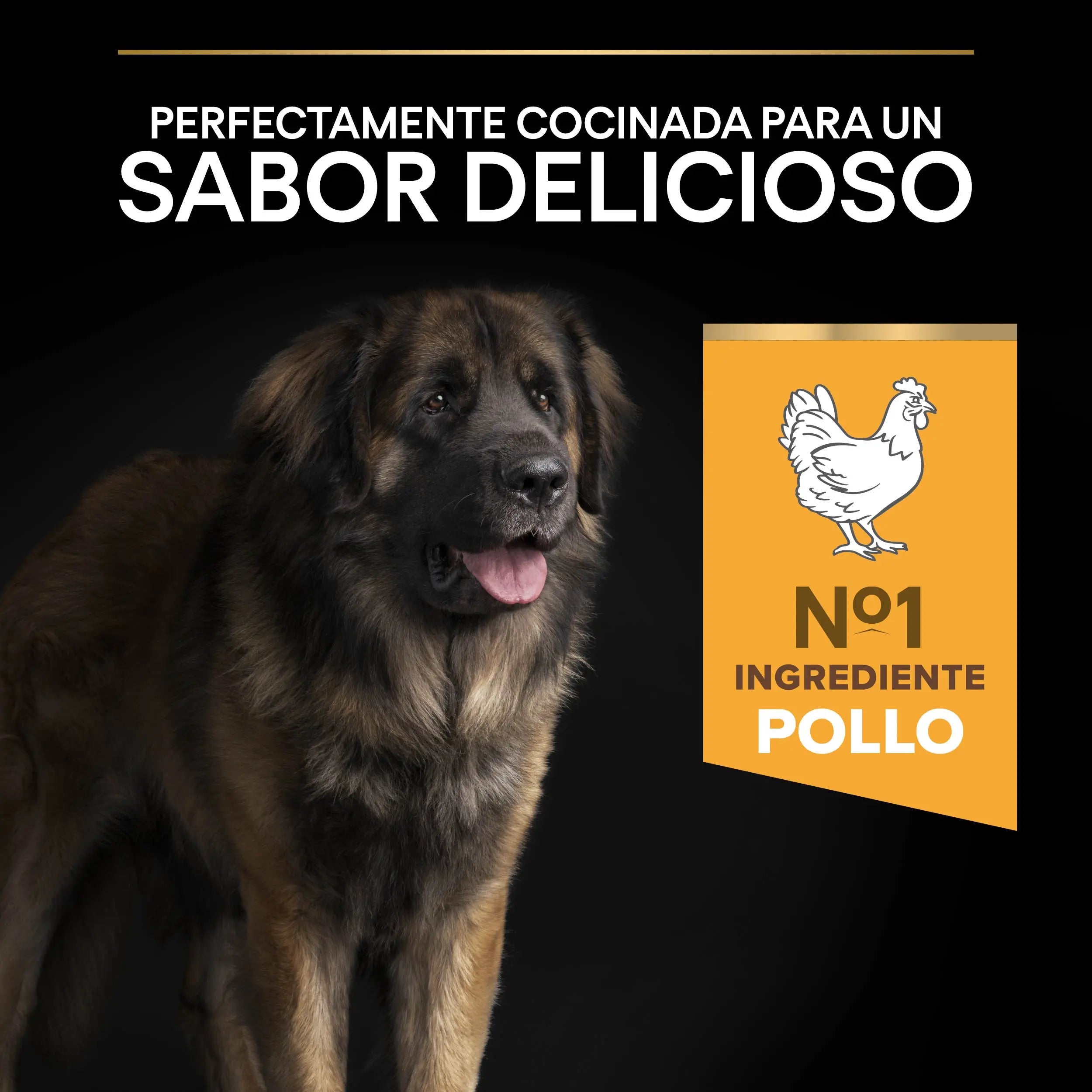 Pro Plan Dog Large Robust Adult Pollo 14 kg+2,5 kg gratis al mejor precio -Todoanimal.es