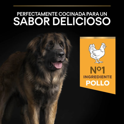 Pro Plan Dog Large Robust Adult Pollo 14 kg+2,5 kg gratis al mejor precio -Todoanimal.es
