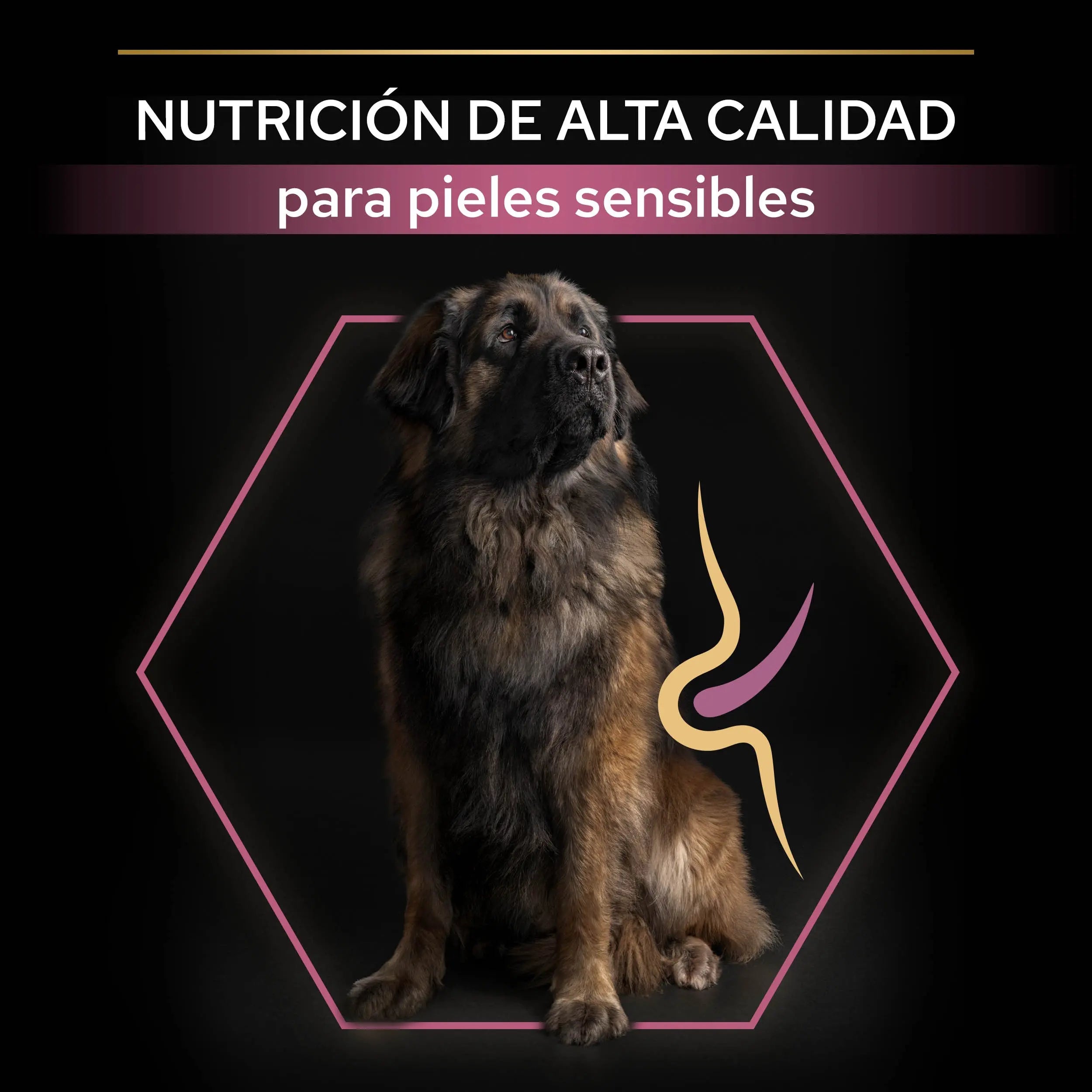 Pro Plan Dog Large Robust Adult Skin Salmón 14 kg al mejor precio -Todoanimal.es