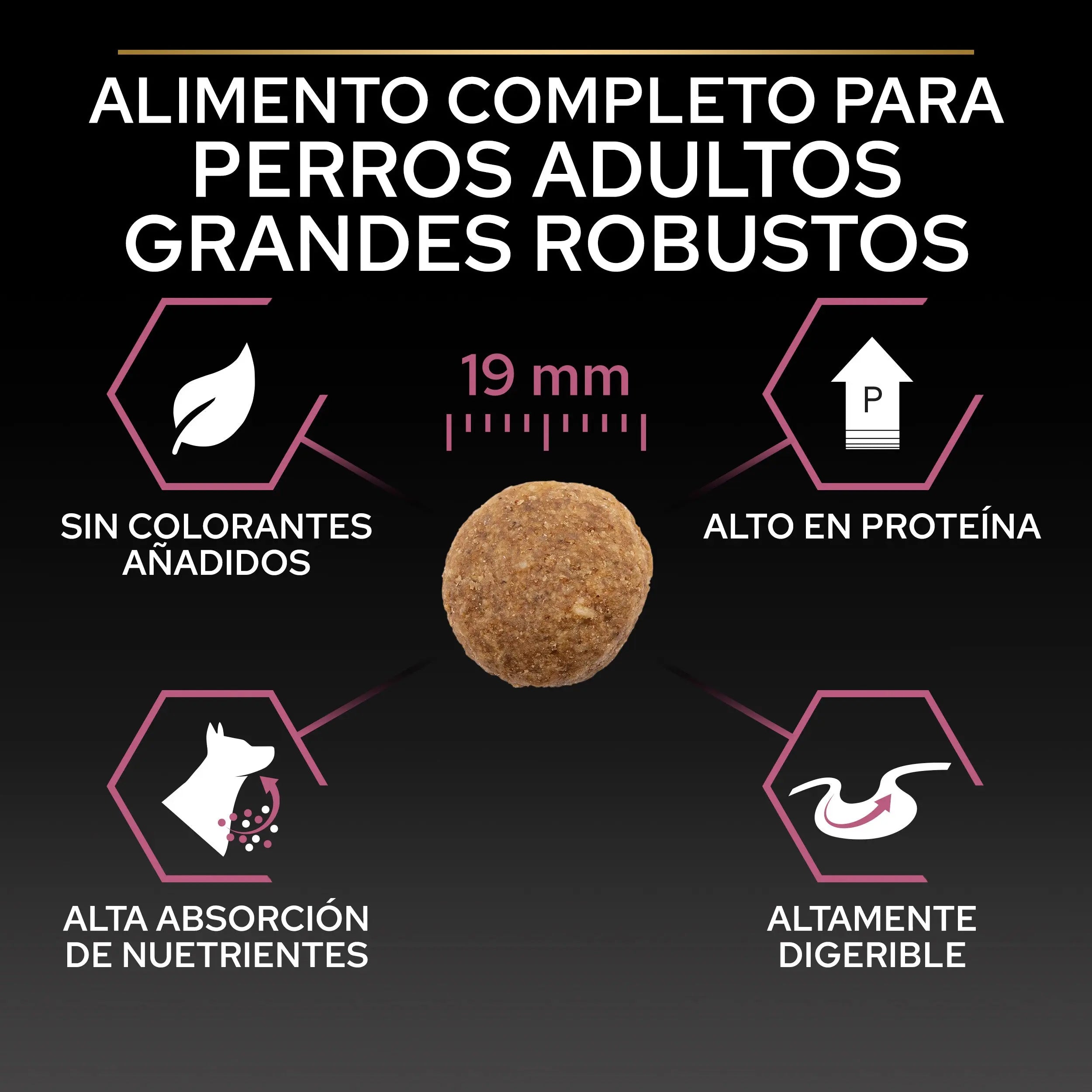 Pro Plan Dog Large Robust Adult Skin Salmón 14 kg al mejor precio -Todoanimal.es