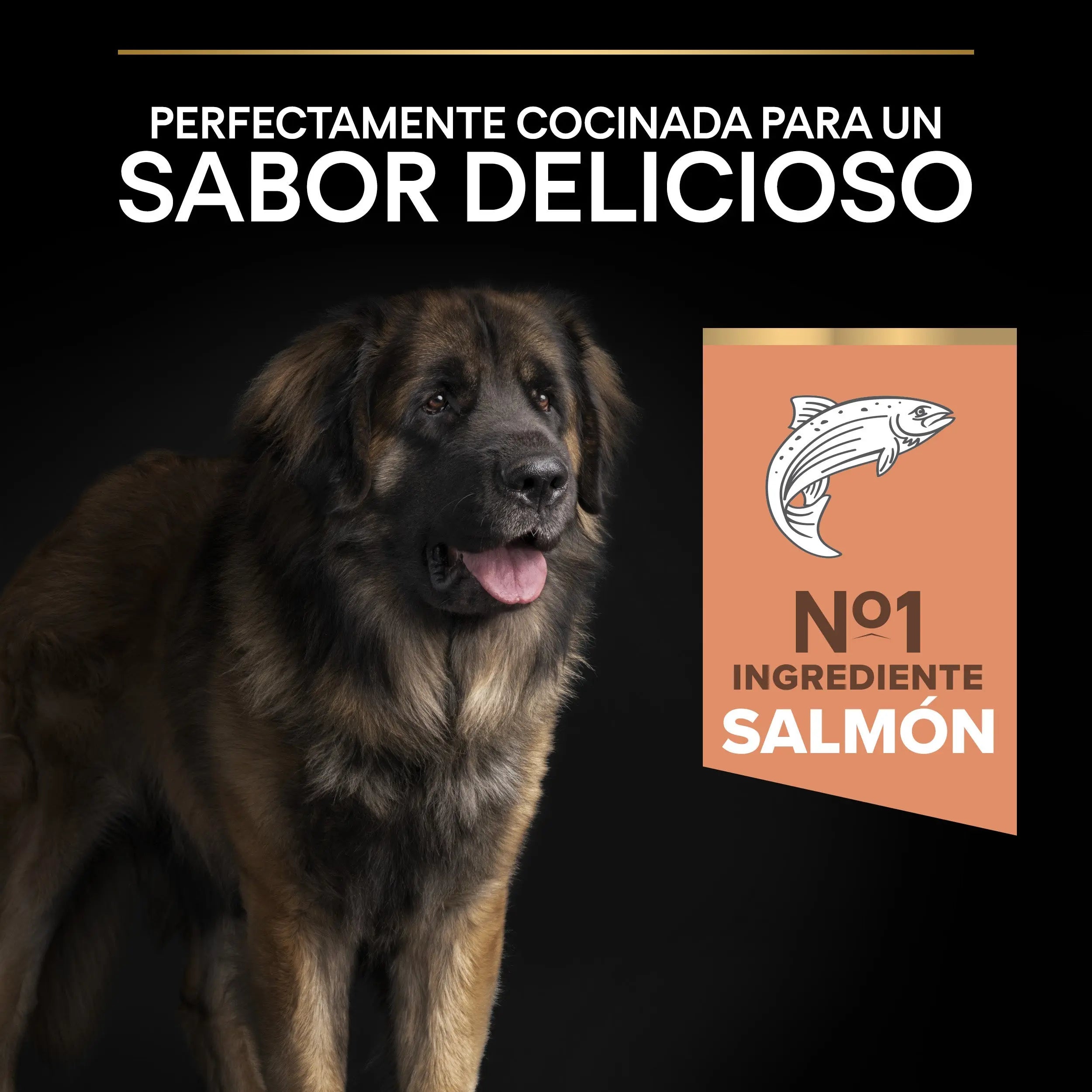 Pro Plan Dog Large Robust Adult Skin Salmón 14 kg al mejor precio -Todoanimal.es