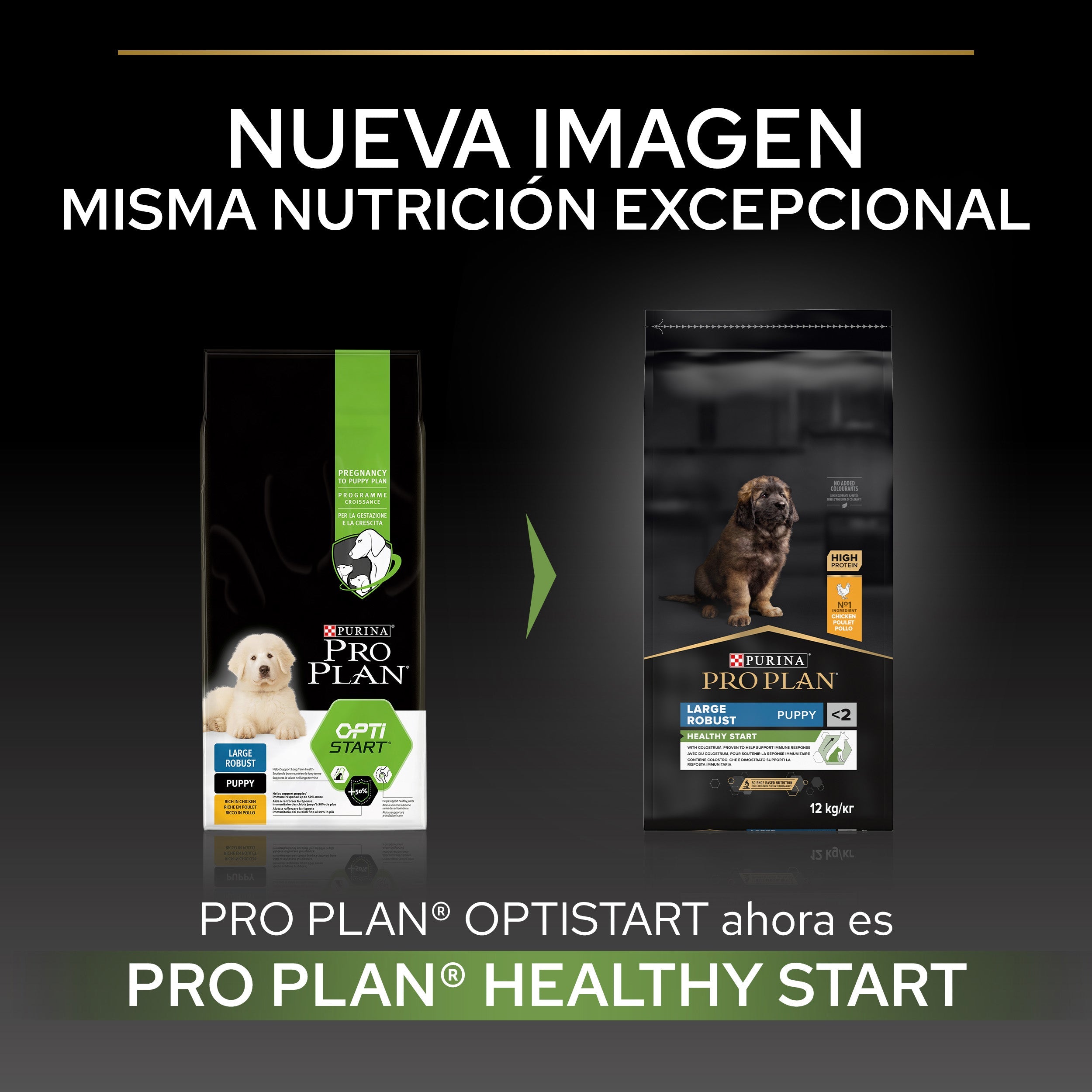 Pro Plan Dog Large Robust Puppy Start Pollo Pienso para Cachorros al mejor precio -Todoanimal.es