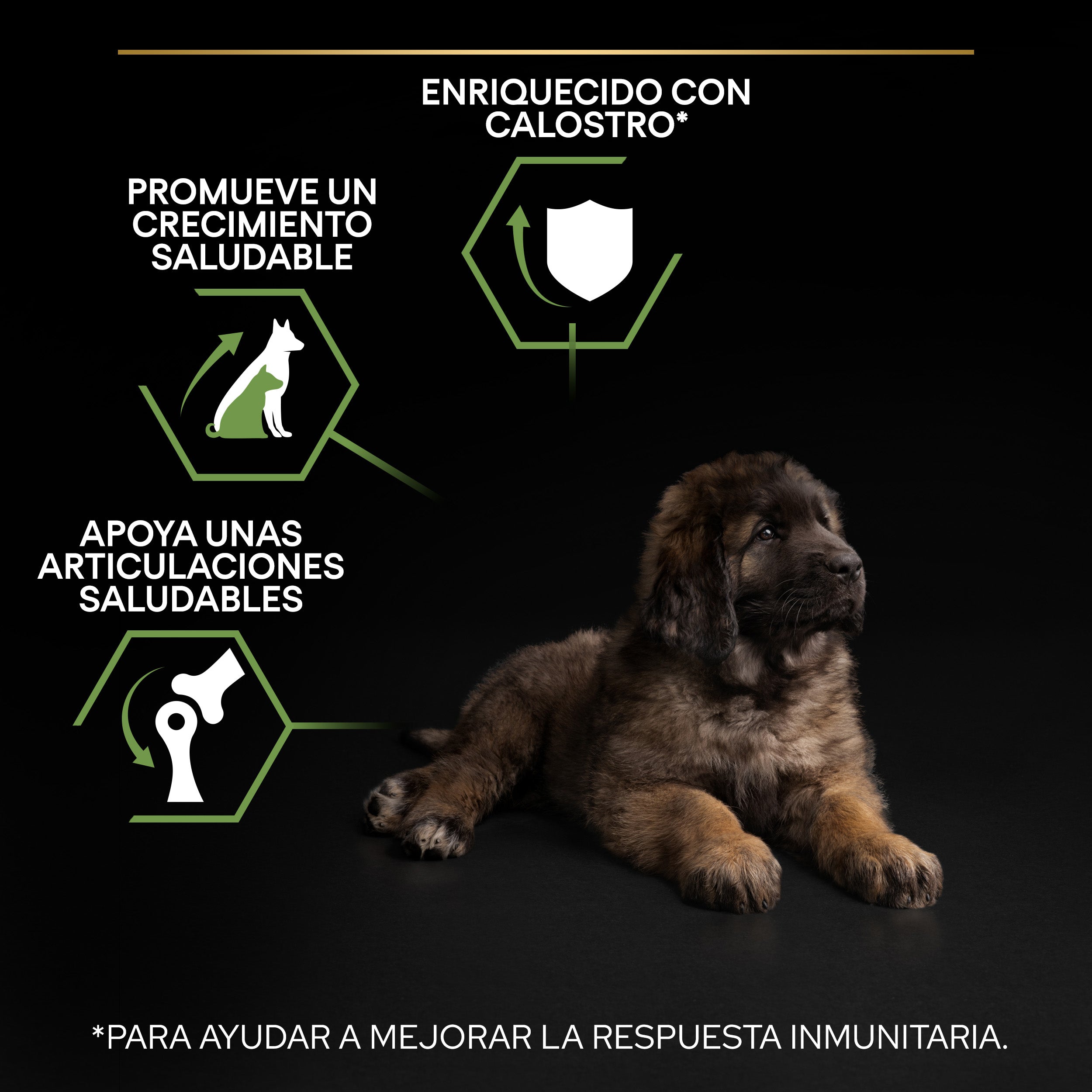 Pro Plan Dog Large Robust Puppy Start Pollo Pienso para Cachorros al mejor precio -Todoanimal.es