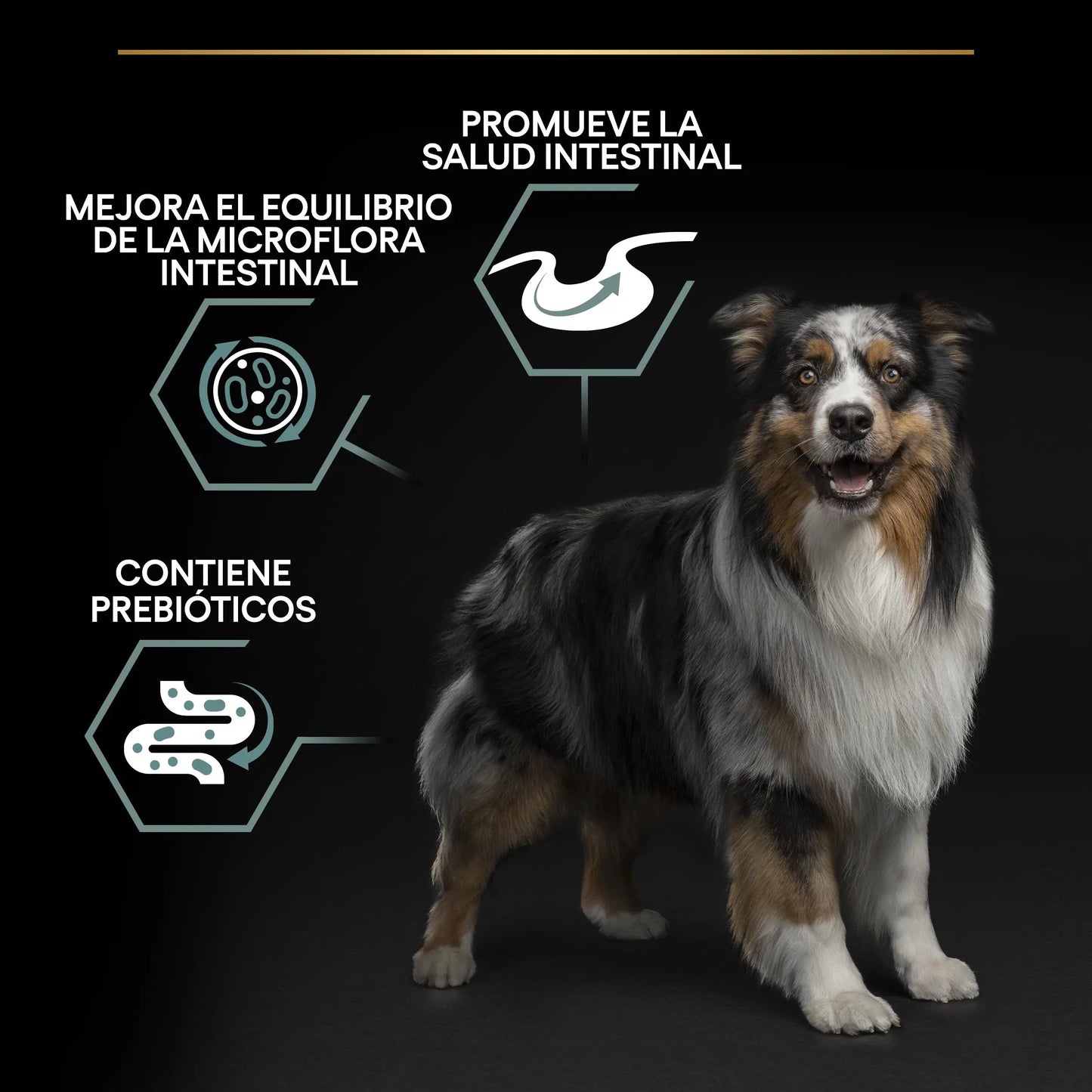 Pro Plan Dog Medium Adult Digest Cordero 3 kg al mejor precio -Todoanimal.es