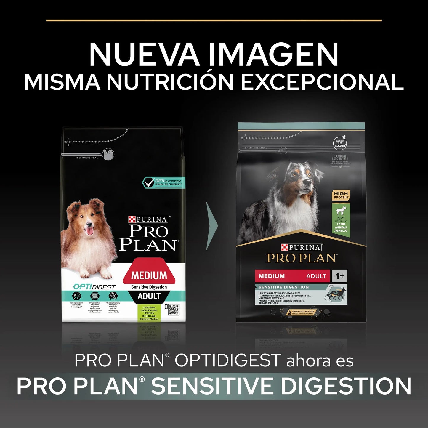 Pro Plan Dog Medium Adult Digest Cordero 3 kg al mejor precio -Todoanimal.es