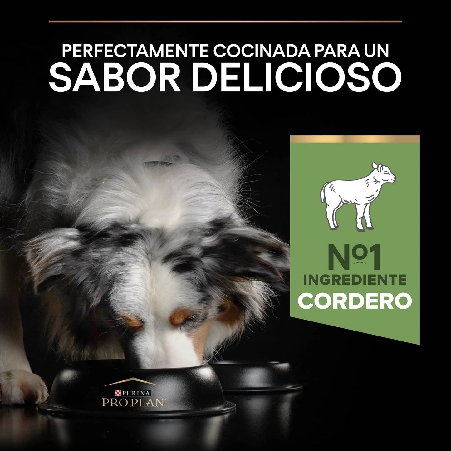 Pro Plan Dog Medium Adult Digest Cordero 3 kg al mejor precio -Todoanimal.es