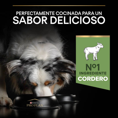 Pro Plan Dog Medium Adult Digest Cordero 3 kg al mejor precio -Todoanimal.es