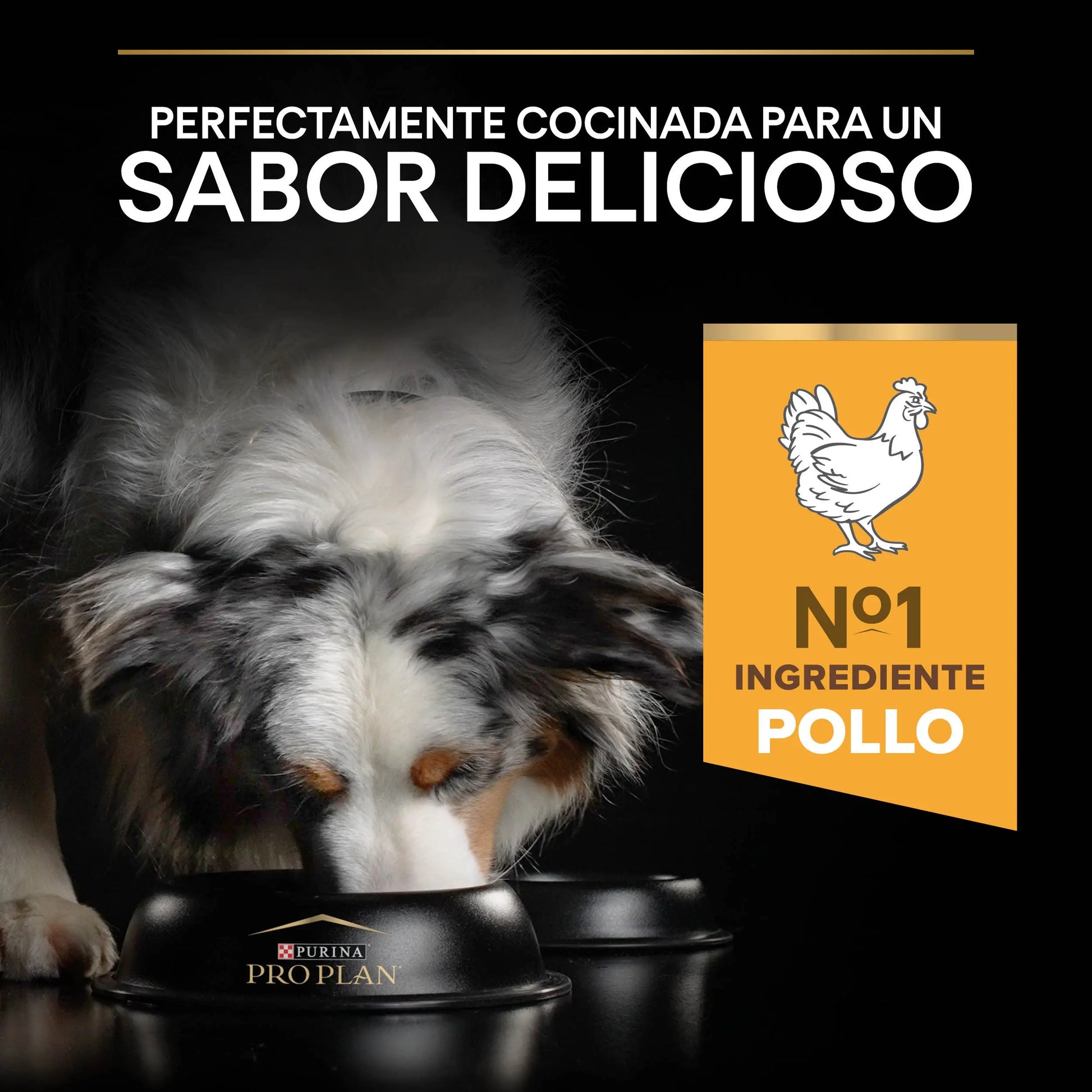 Pro Plan Dog Medium Adult Pollo 14 kg+2,5 kg gratis al mejor precio -Todoanimal.es