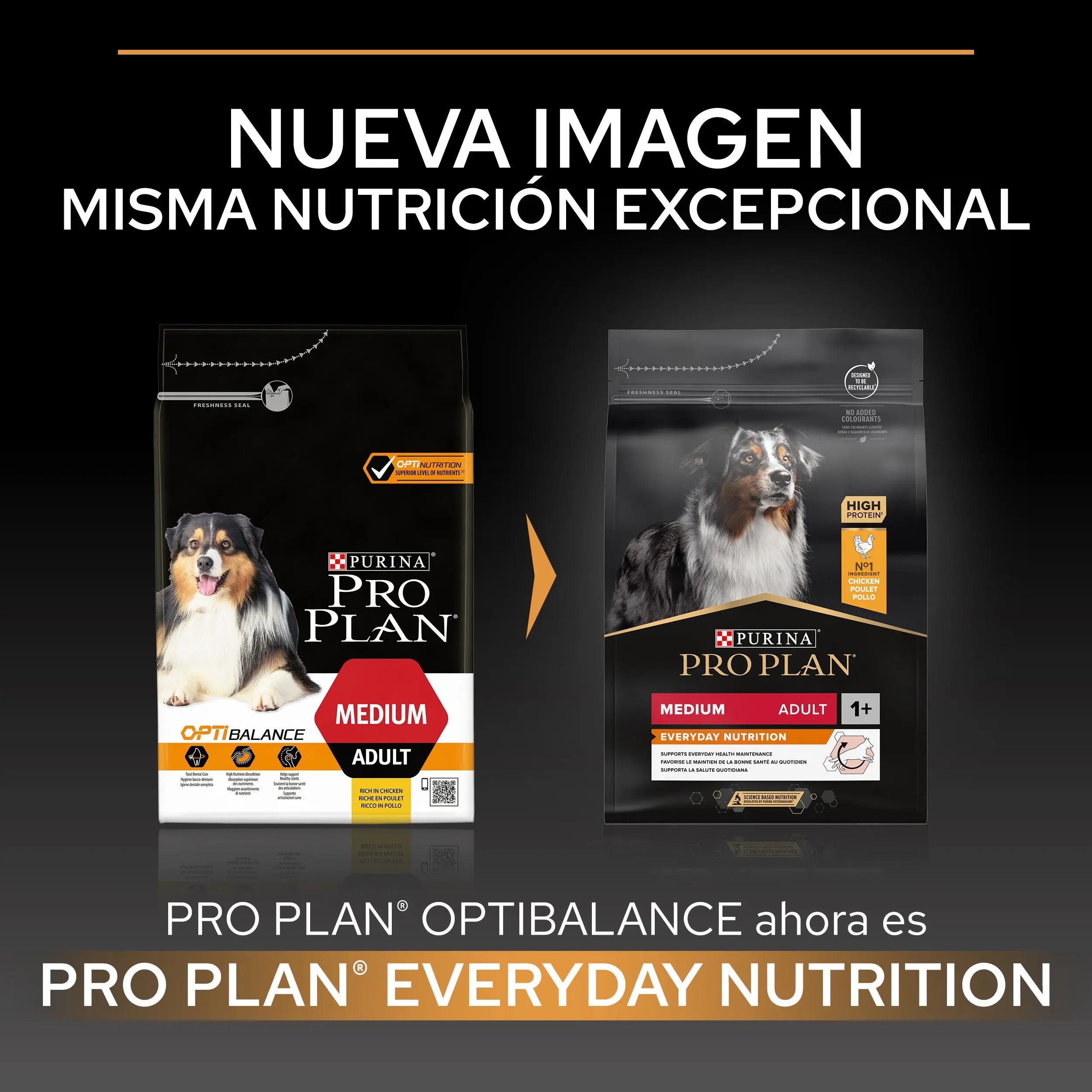 Pro Plan Dog Medium Adult Pollo 3 kg al mejor precio -Todoanimal.es