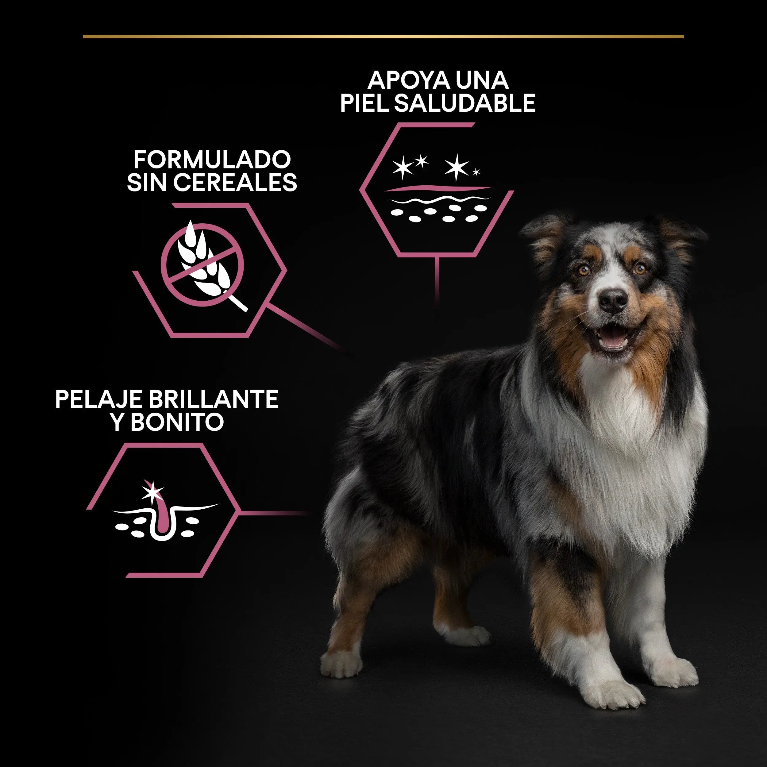 Pro Plan Dog Medium Adult Skin Salmón 14 kg al mejor precio -Todoanimal.es
