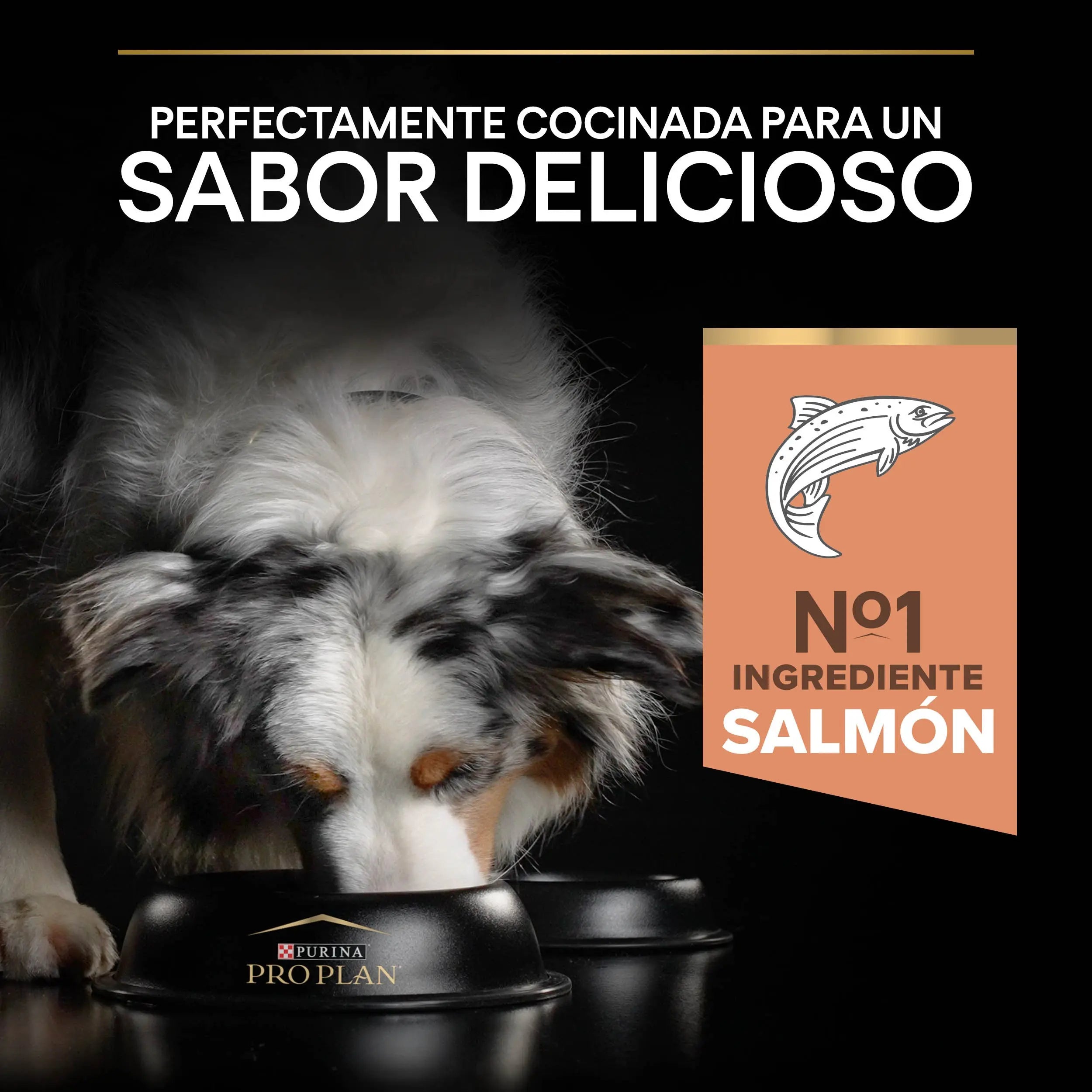 Pro Plan Dog Medium Adult Skin Salmón 14 kg al mejor precio -Todoanimal.es