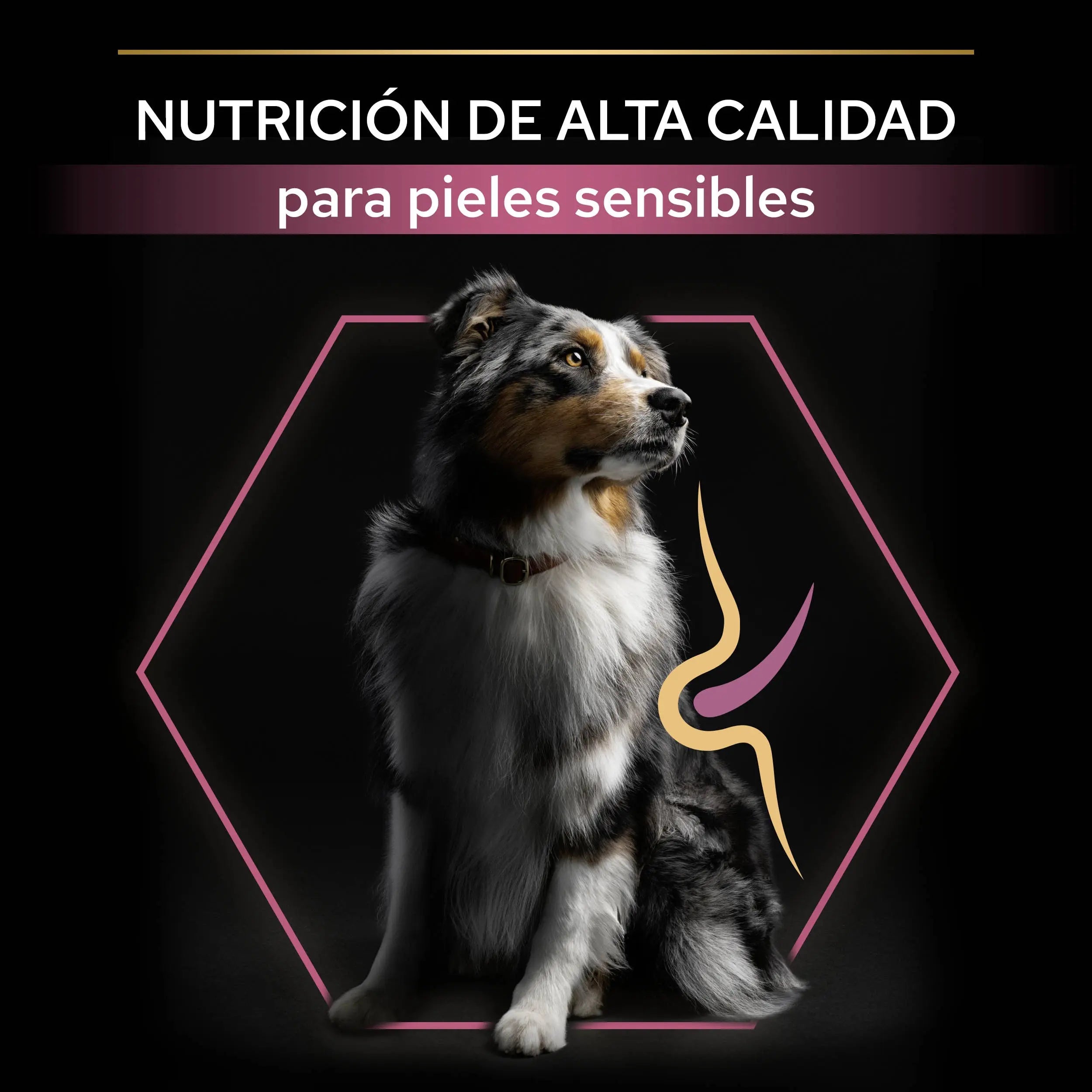 Pro Plan Dog Medium Adult Skin Salmón 14 kg al mejor precio -Todoanimal.es