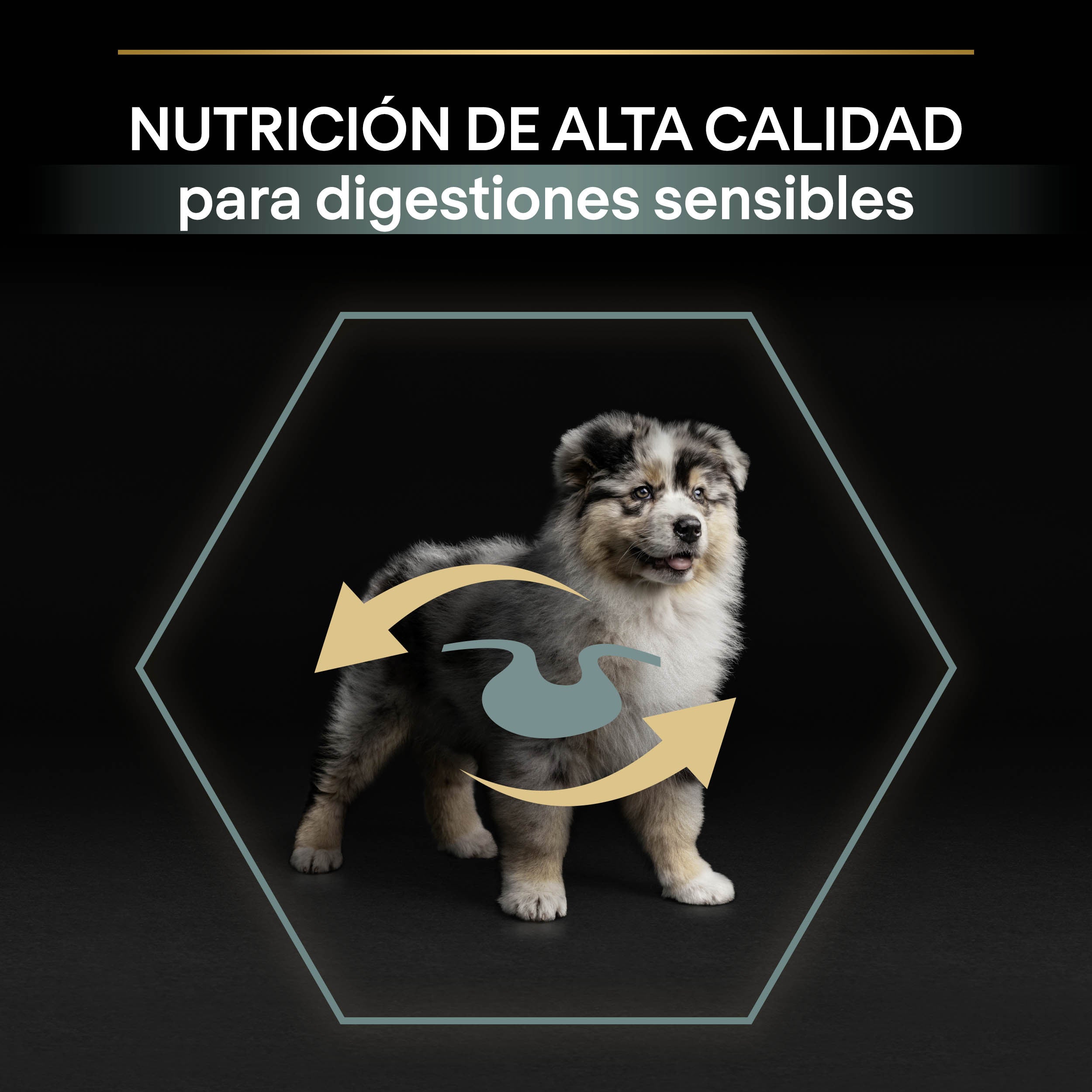 Pro Plan Dog Medium Puppy Digest Cordero Pienso para Cachorros al mejor precio -Todoanimal.es