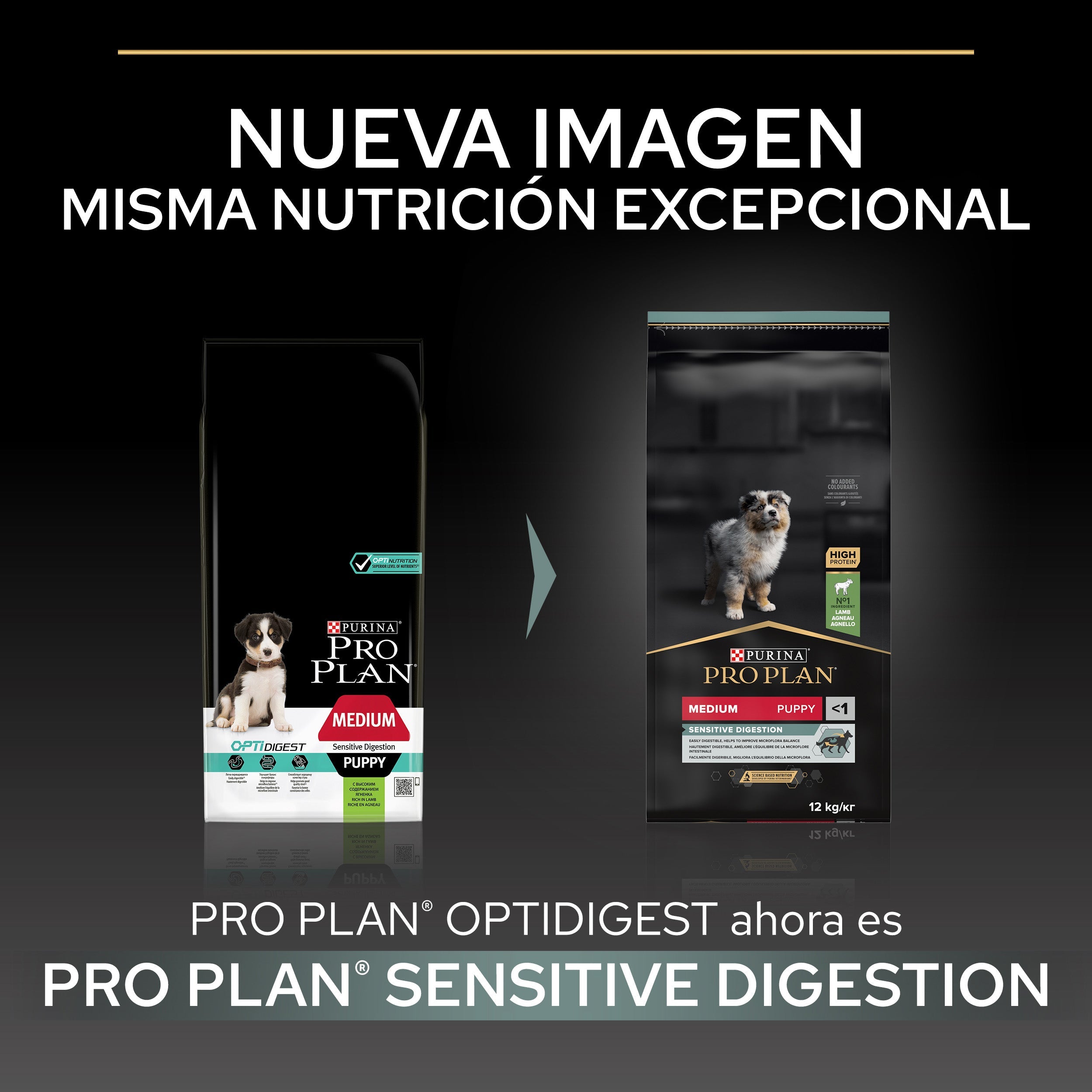 Pro Plan Dog Medium Puppy Digest Cordero Pienso para Cachorros al mejor precio -Todoanimal.es