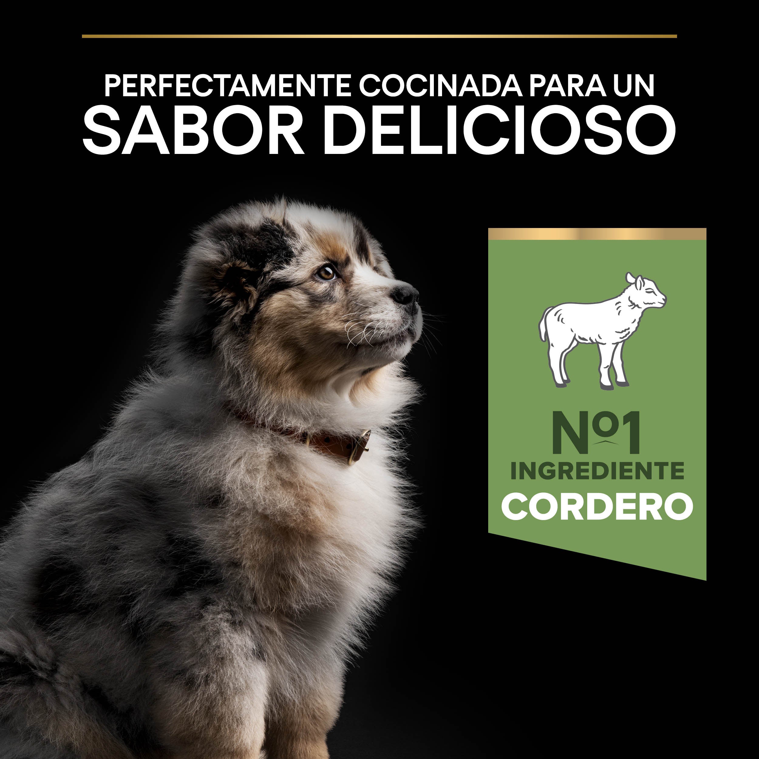 Pro Plan Dog Medium Puppy Digest Cordero Pienso para Cachorros al mejor precio -Todoanimal.es