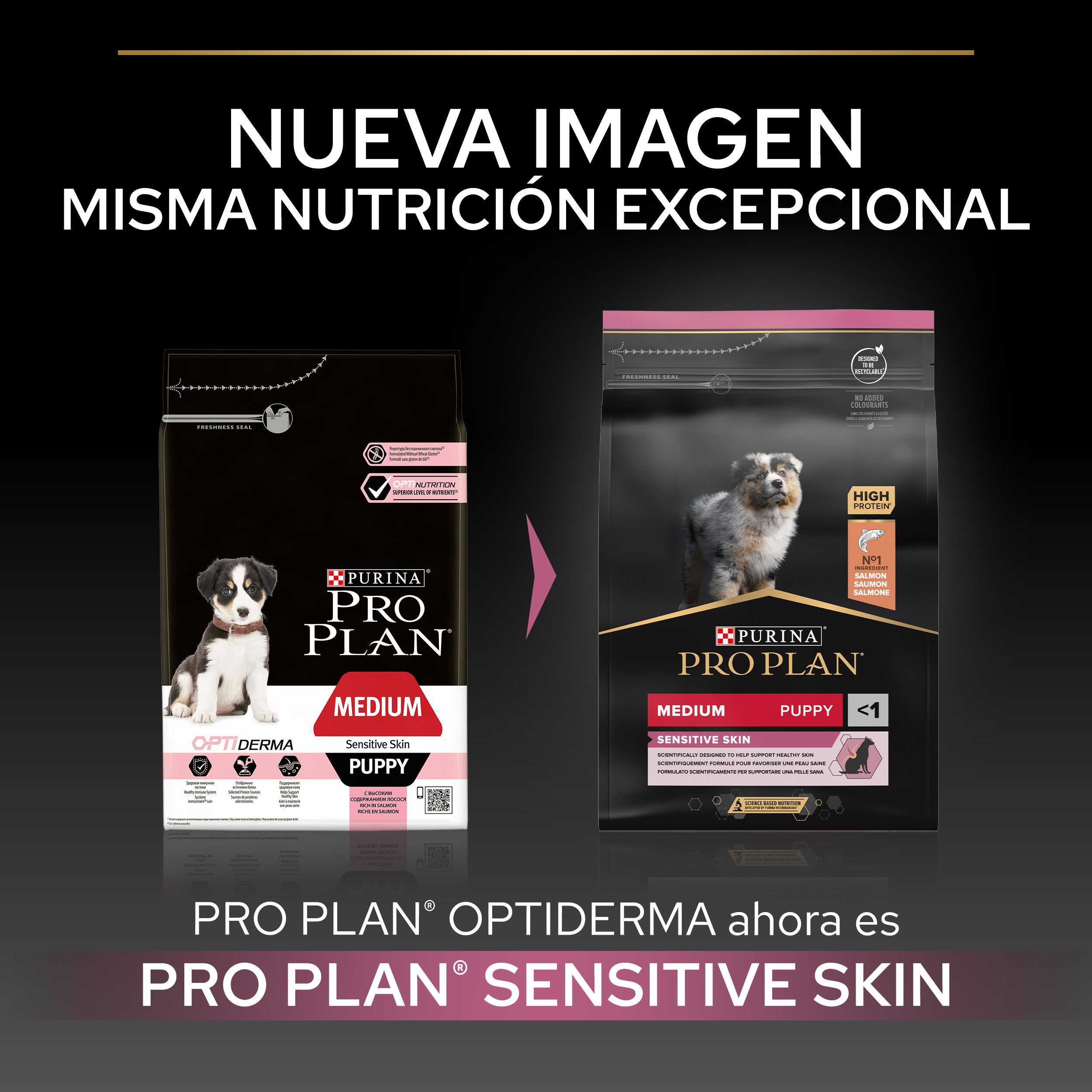 Pro Plan Dog Medium Puppy Sensitive Skin Salmón Pienso para Perros al mejor precio -Todoanimal.es